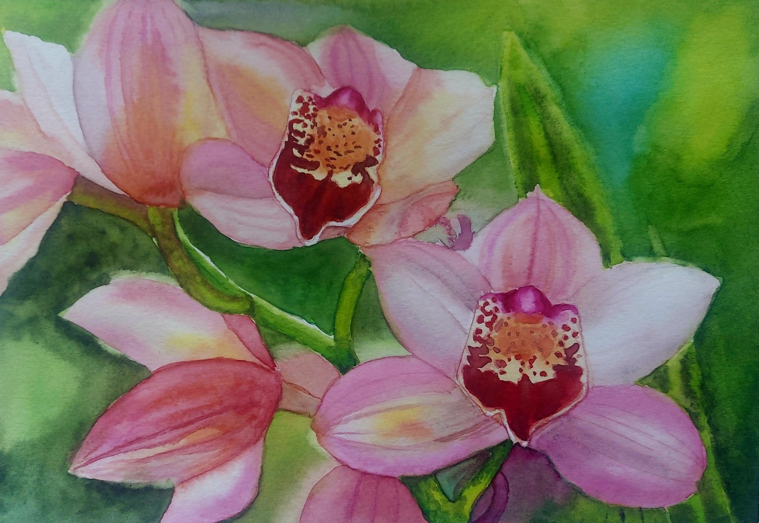 Watercolour orchids - image 1 - student project