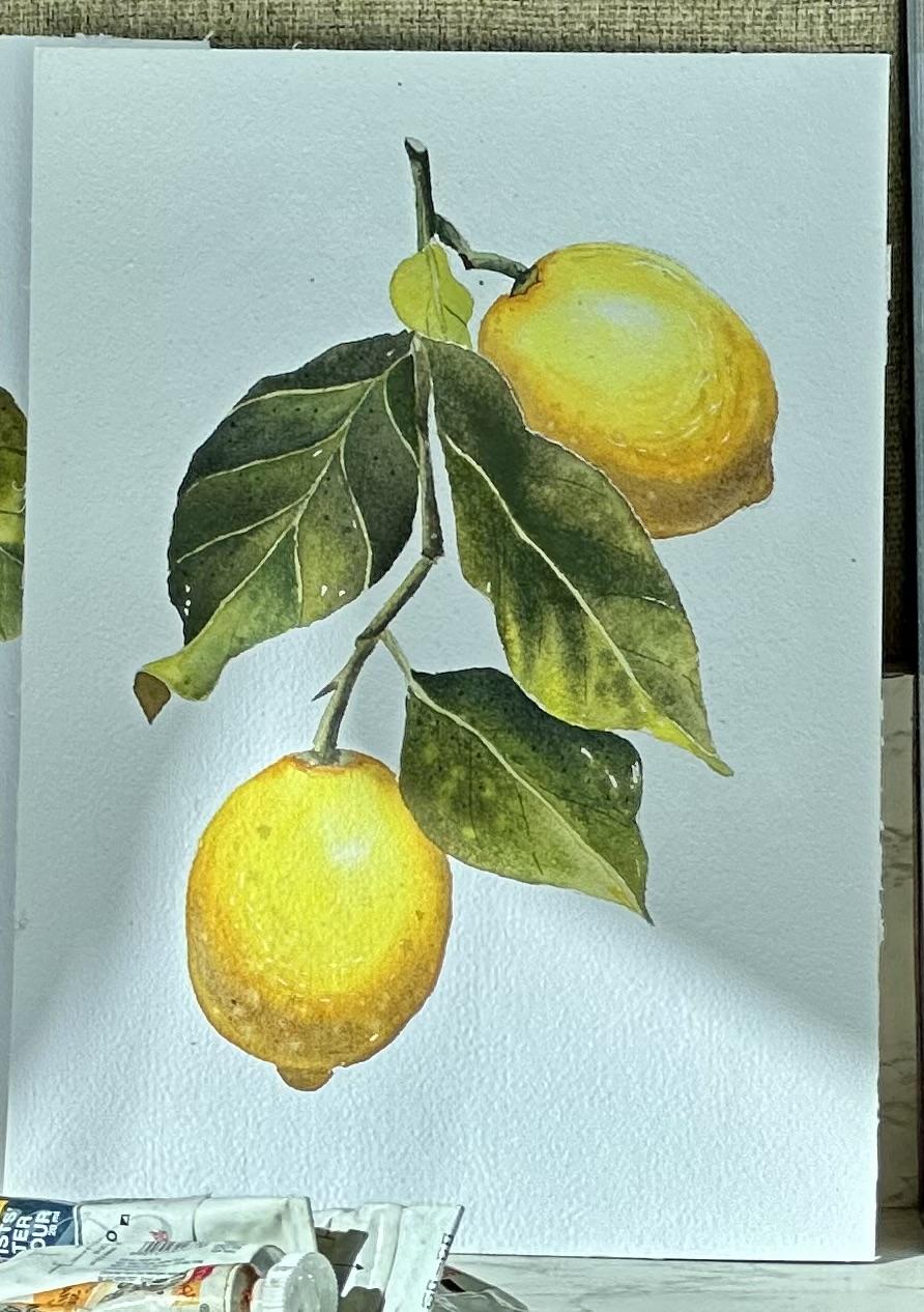 Lemons - image 2 - student project