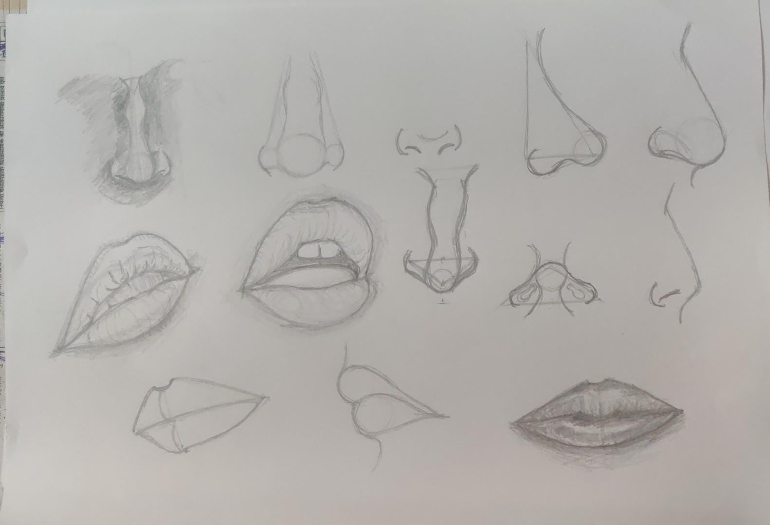 The Head Shape, Eye, Nose, Lips, Ears, Hair, Portraits. - image 6 - student project