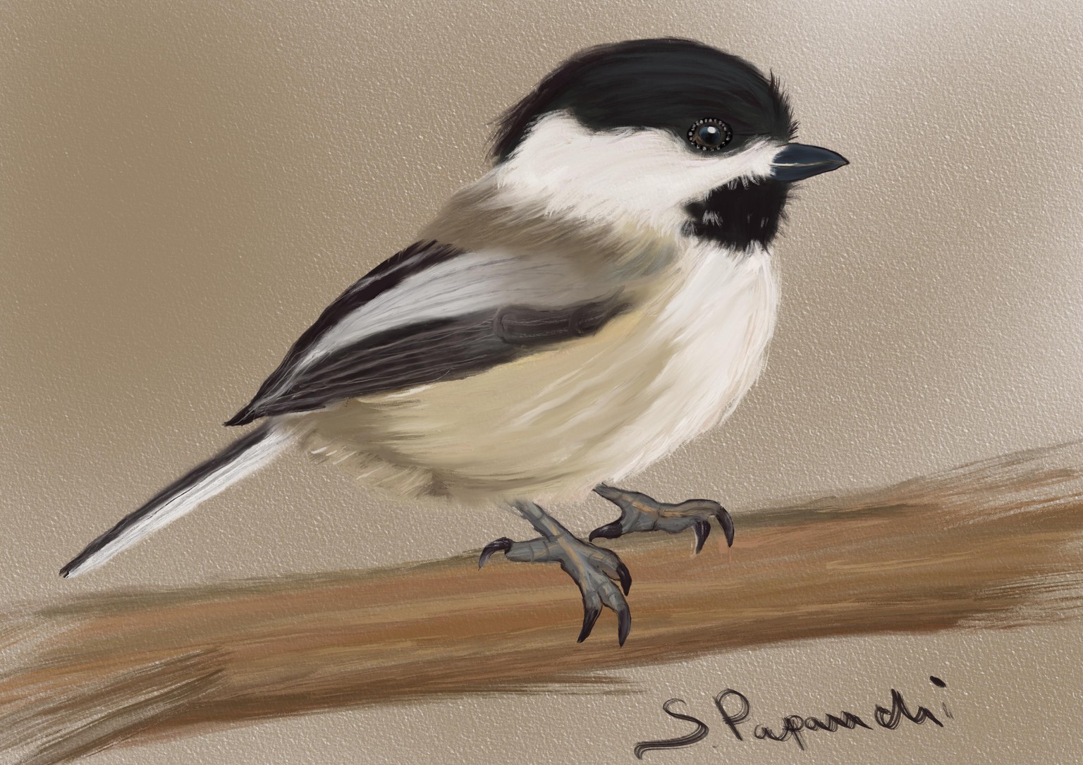 My bird - image 1 - student project