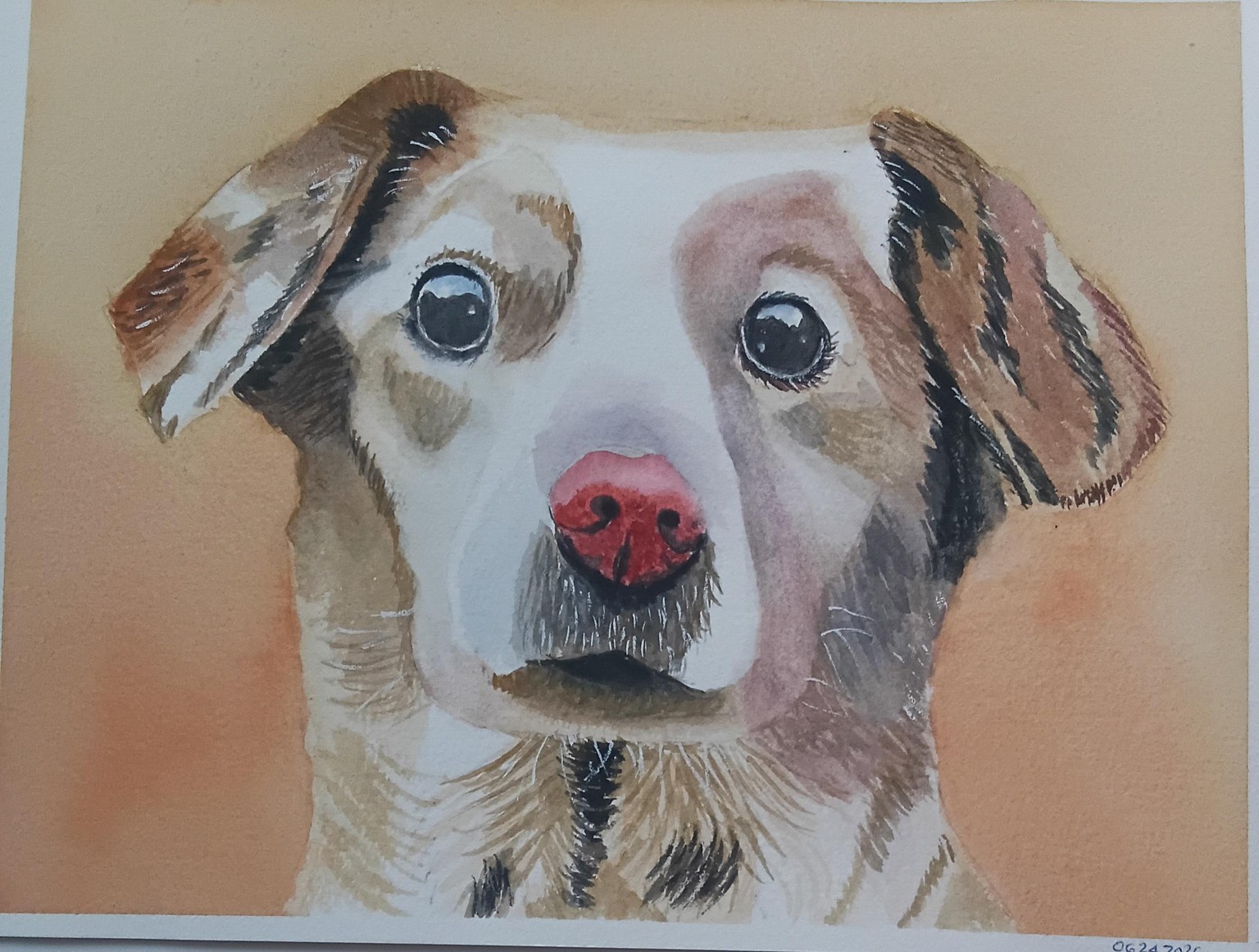 Dog - image 1 - student project