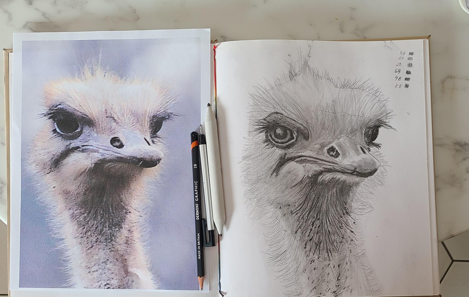 Drawing Basics Ostrich - image 2 - student project