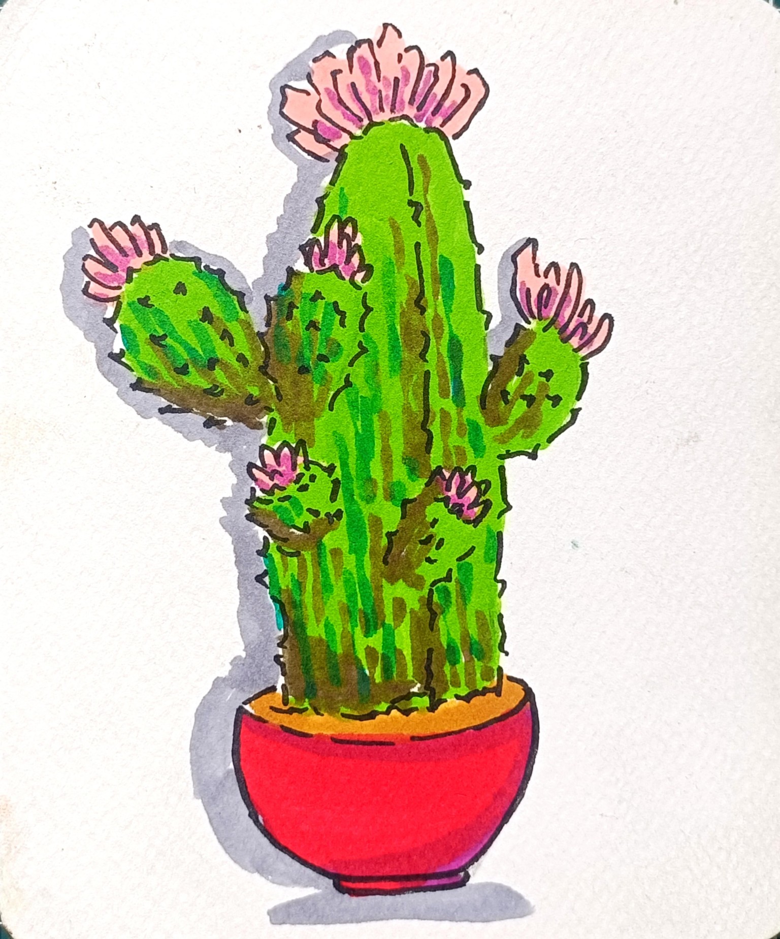 Mini Cactus 🌵 - image 8 - student project