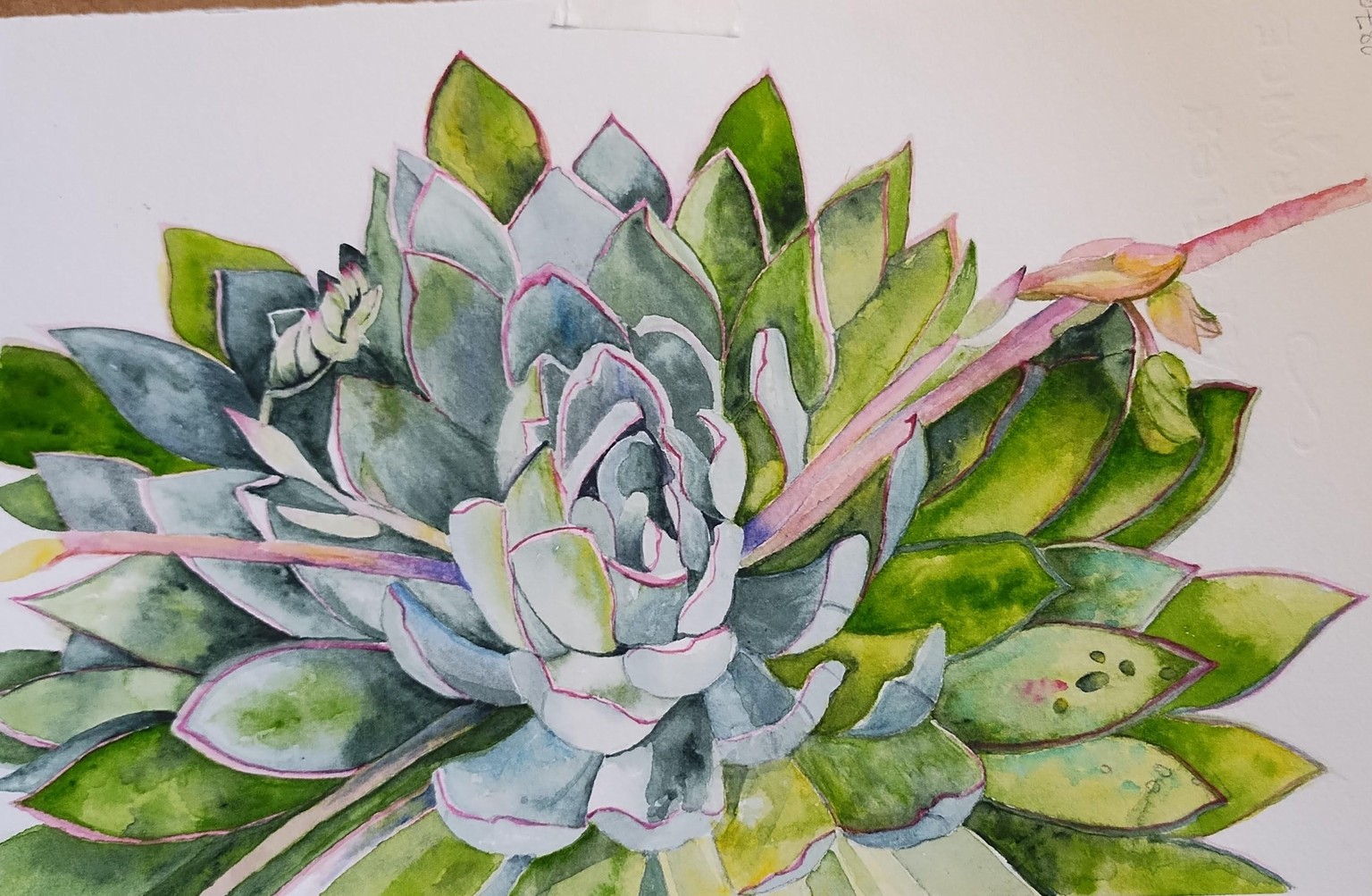 1st, 2nd and 3rd tries. Loved this class, I learned so much, ! Going to try it again full size! - image 1 - student project