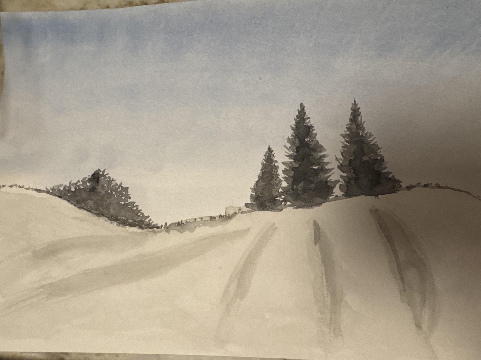 Learned new skills - image 2 - student project