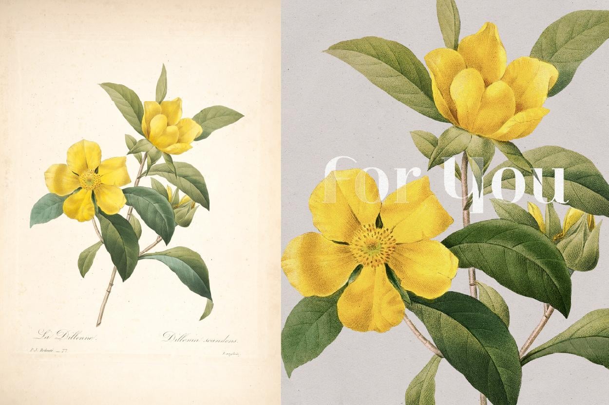 Botanical Greeting Cards - image 11 - student project