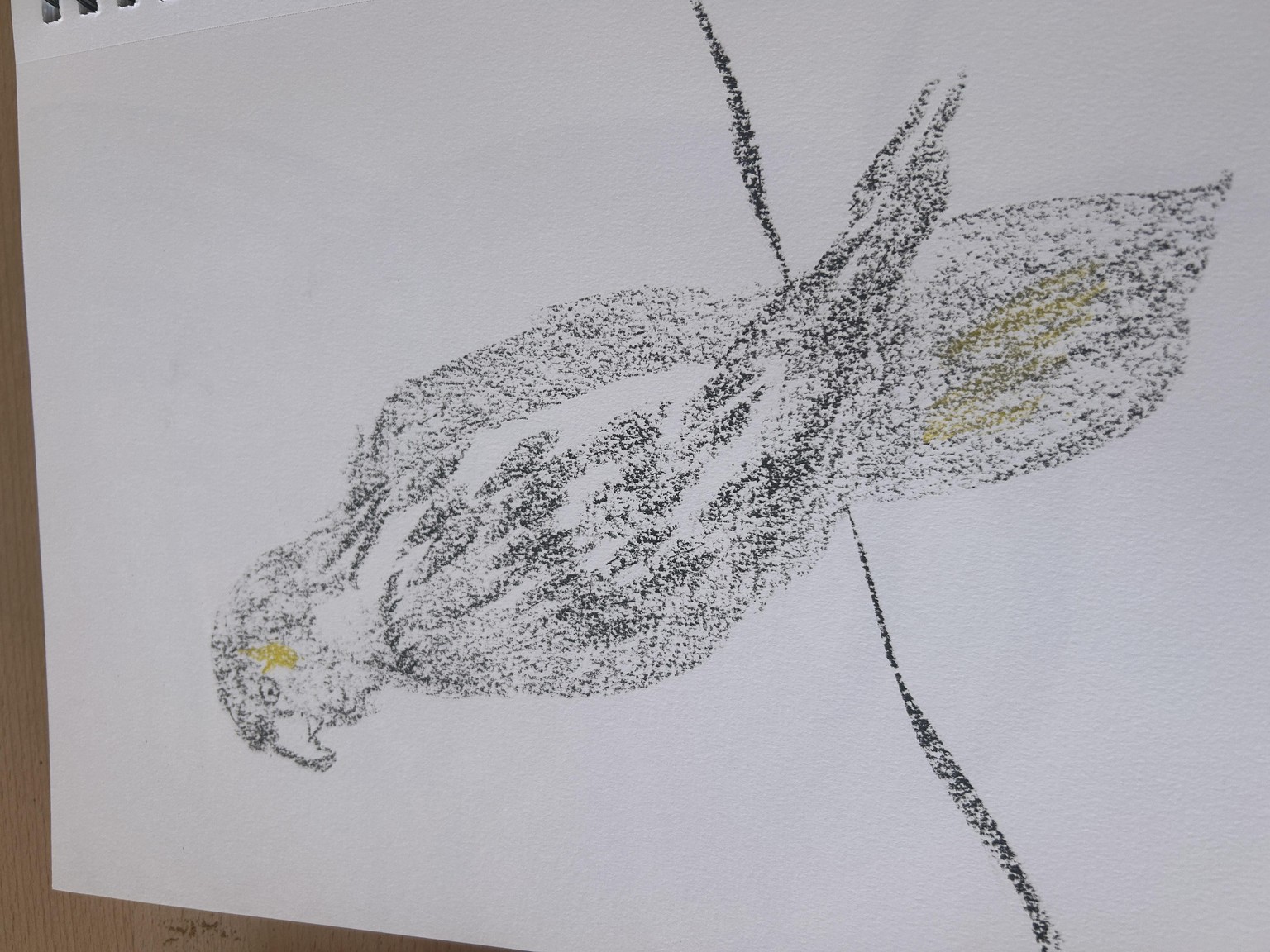 Very relaxing - image 1 - student project
