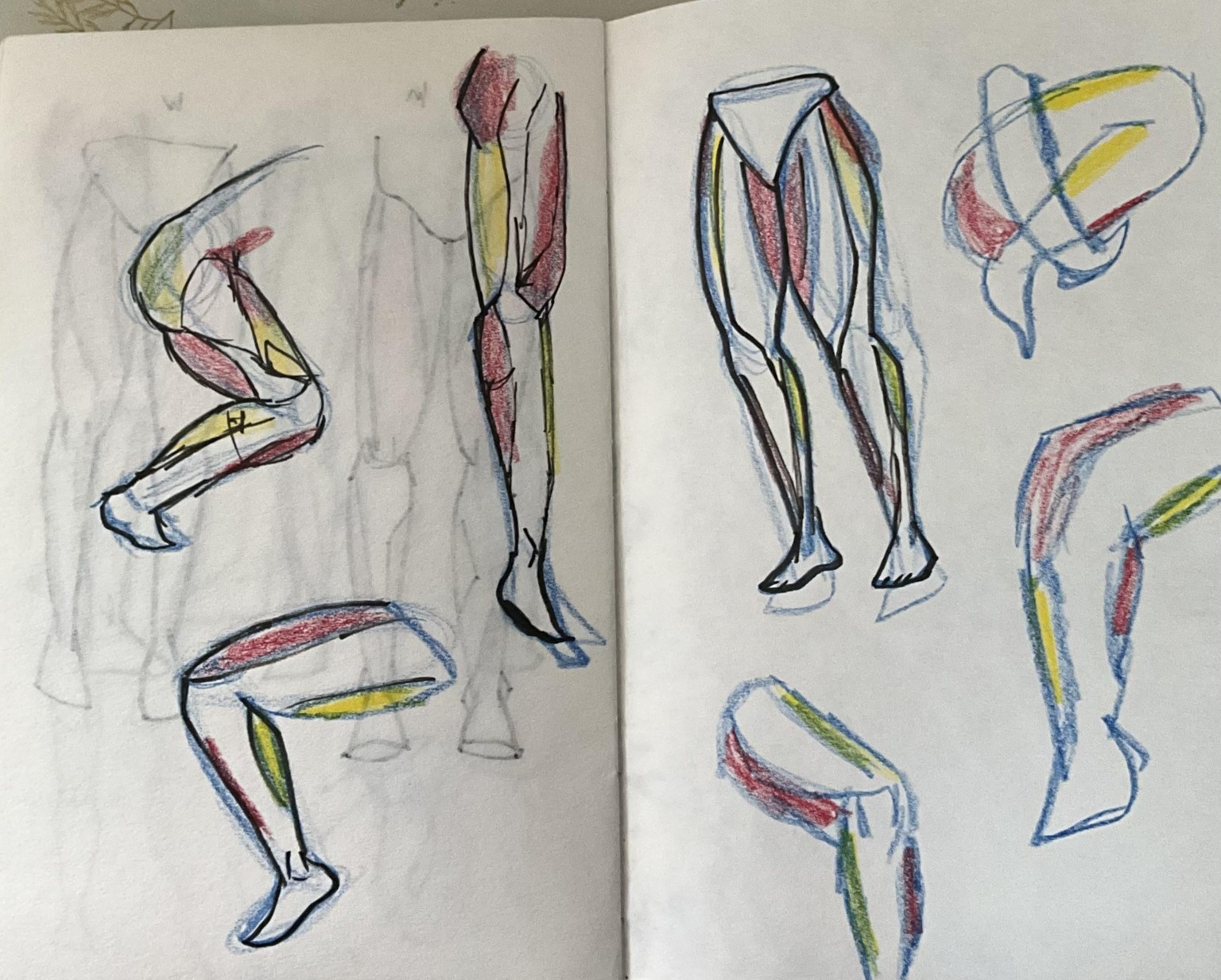 Walk though anatomy - image 1 - student project