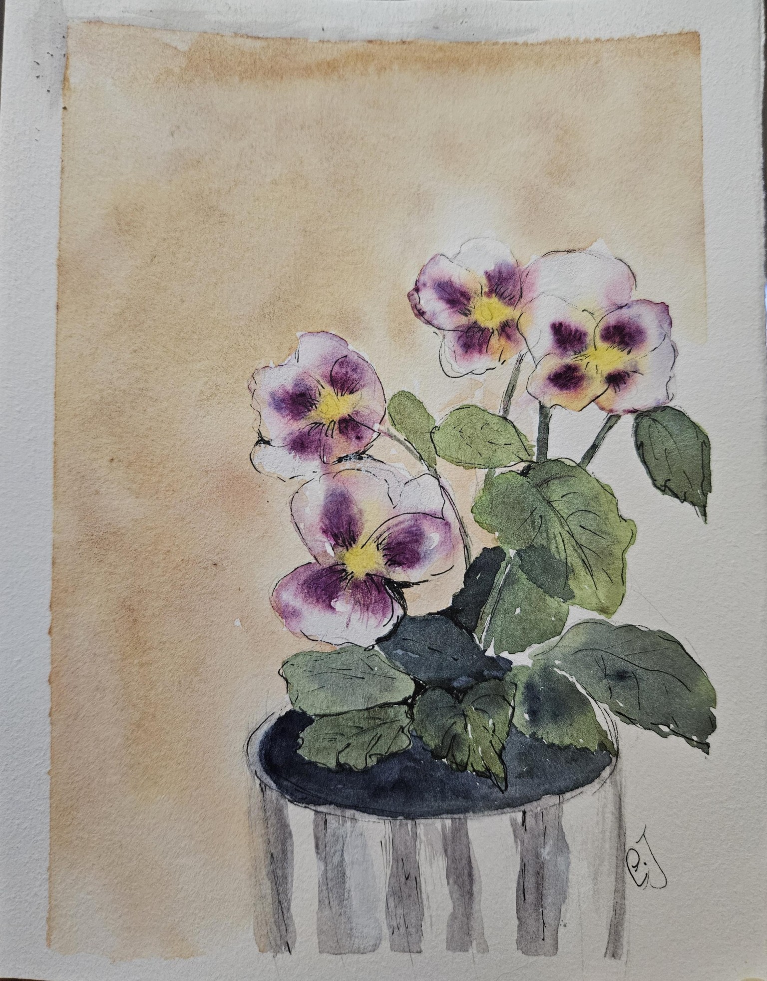 Pansies - image 1 - student project