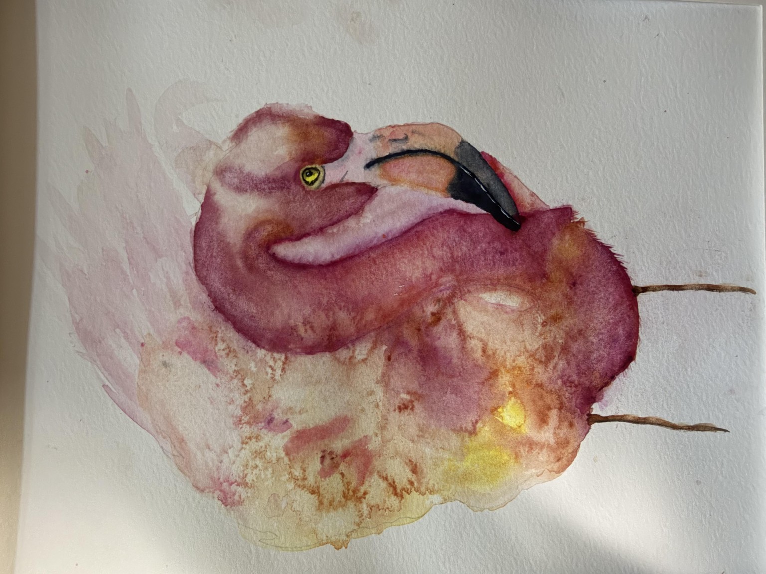 My Pink Flamingo - image 1 - student project