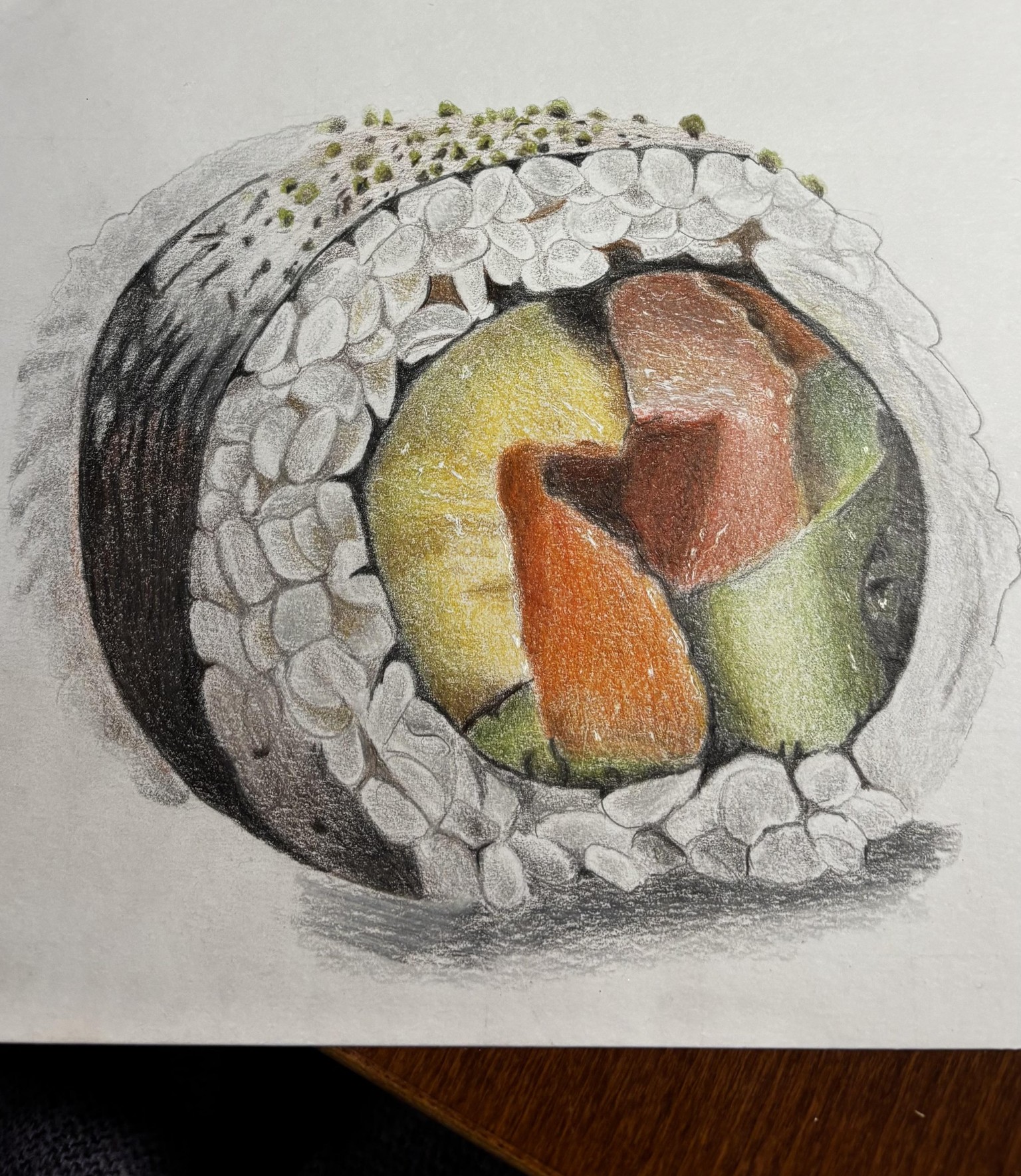 Sushi - image 1 - student project