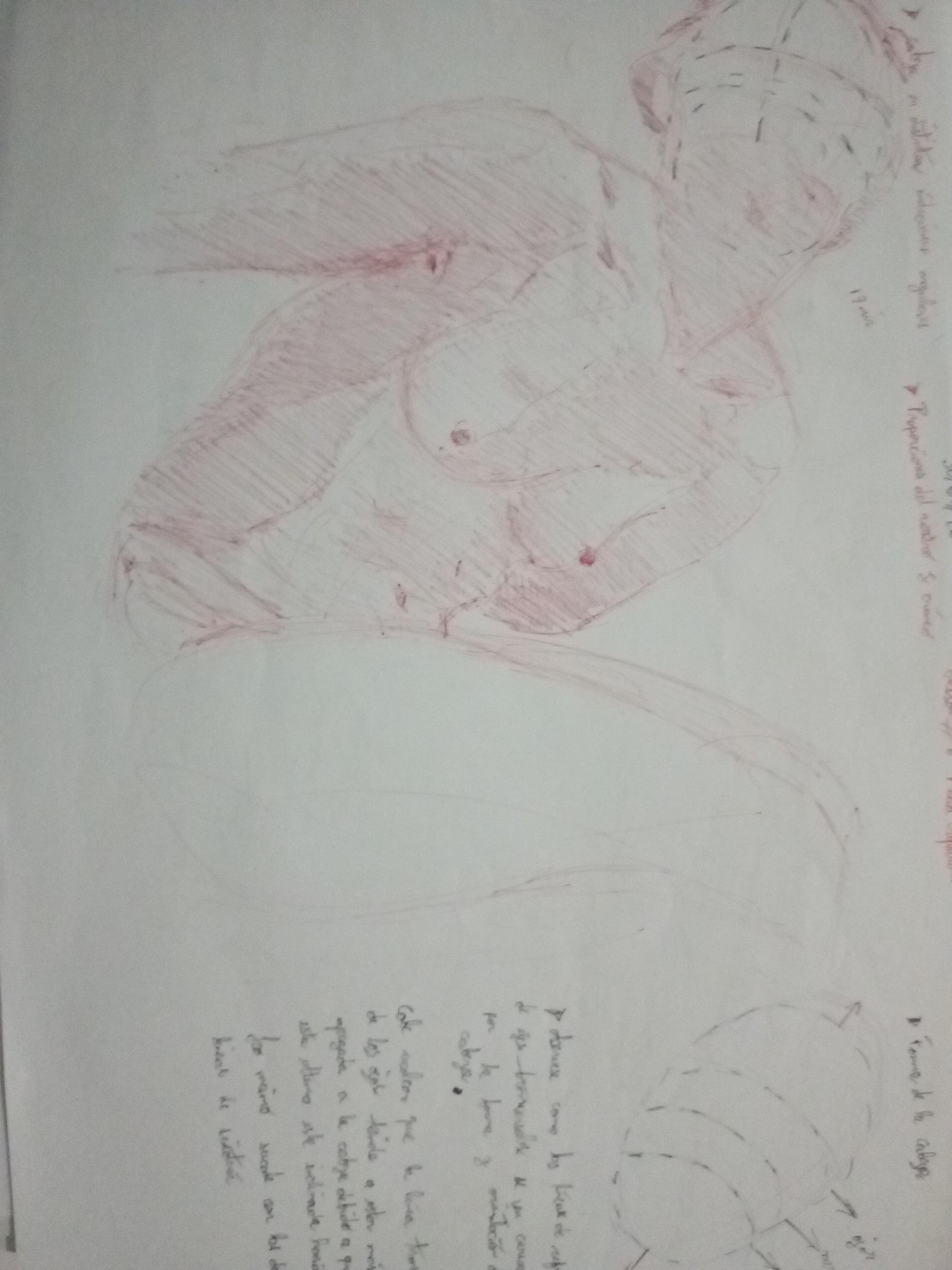 Volumen and structure - image 12 - student project