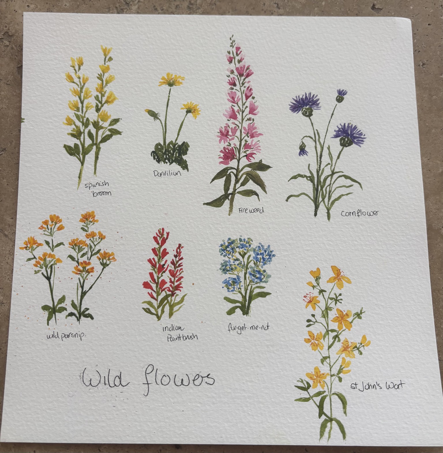 Wildflowers - image 1 - student project