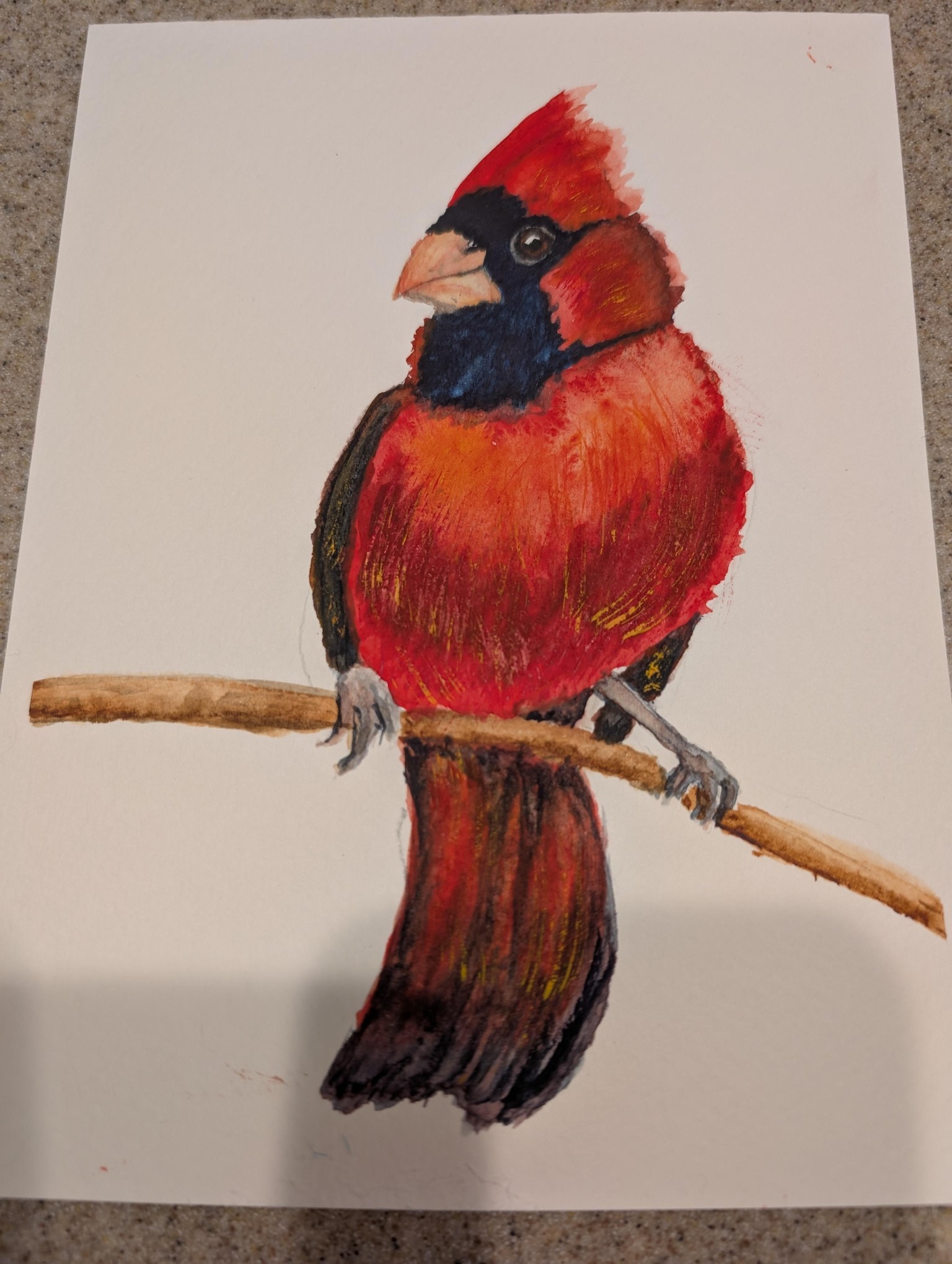 Red Cardinals - image 3 - student project
