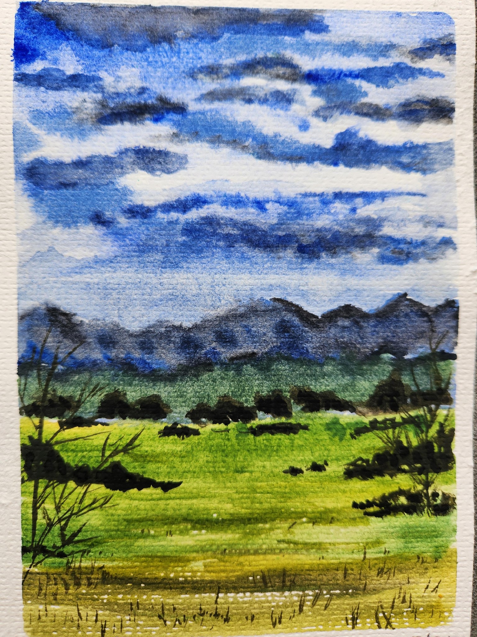 Happy for the lesson and the practice - image 1 - student project