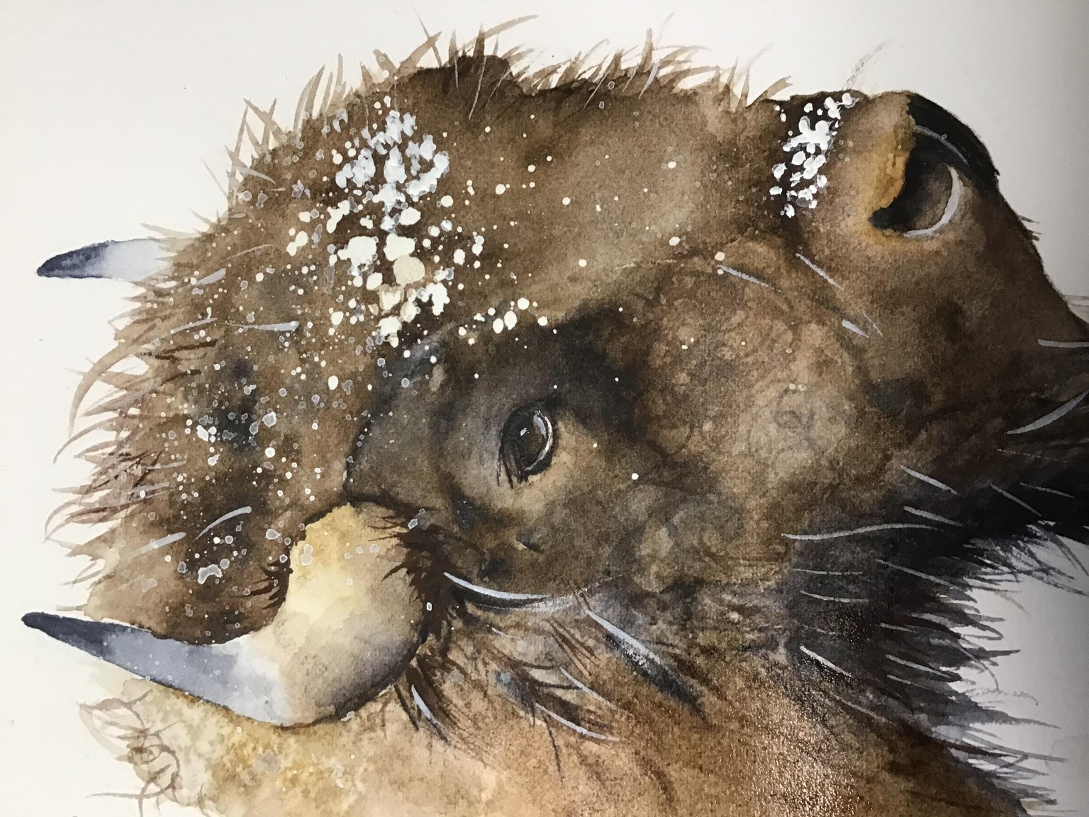 Bison in Snow - image 1 - student project