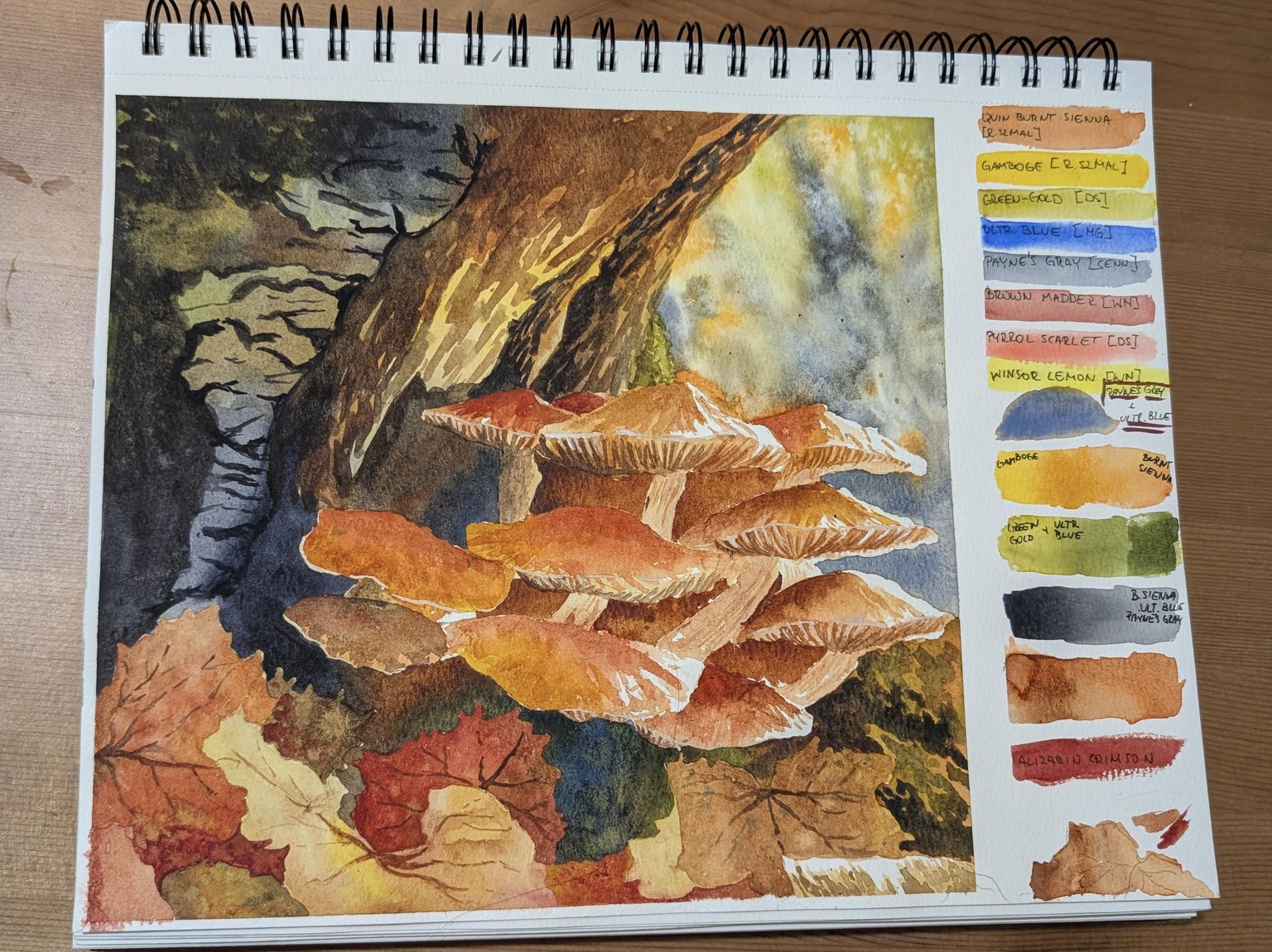 Golden Mushrooms - image 2 - student project