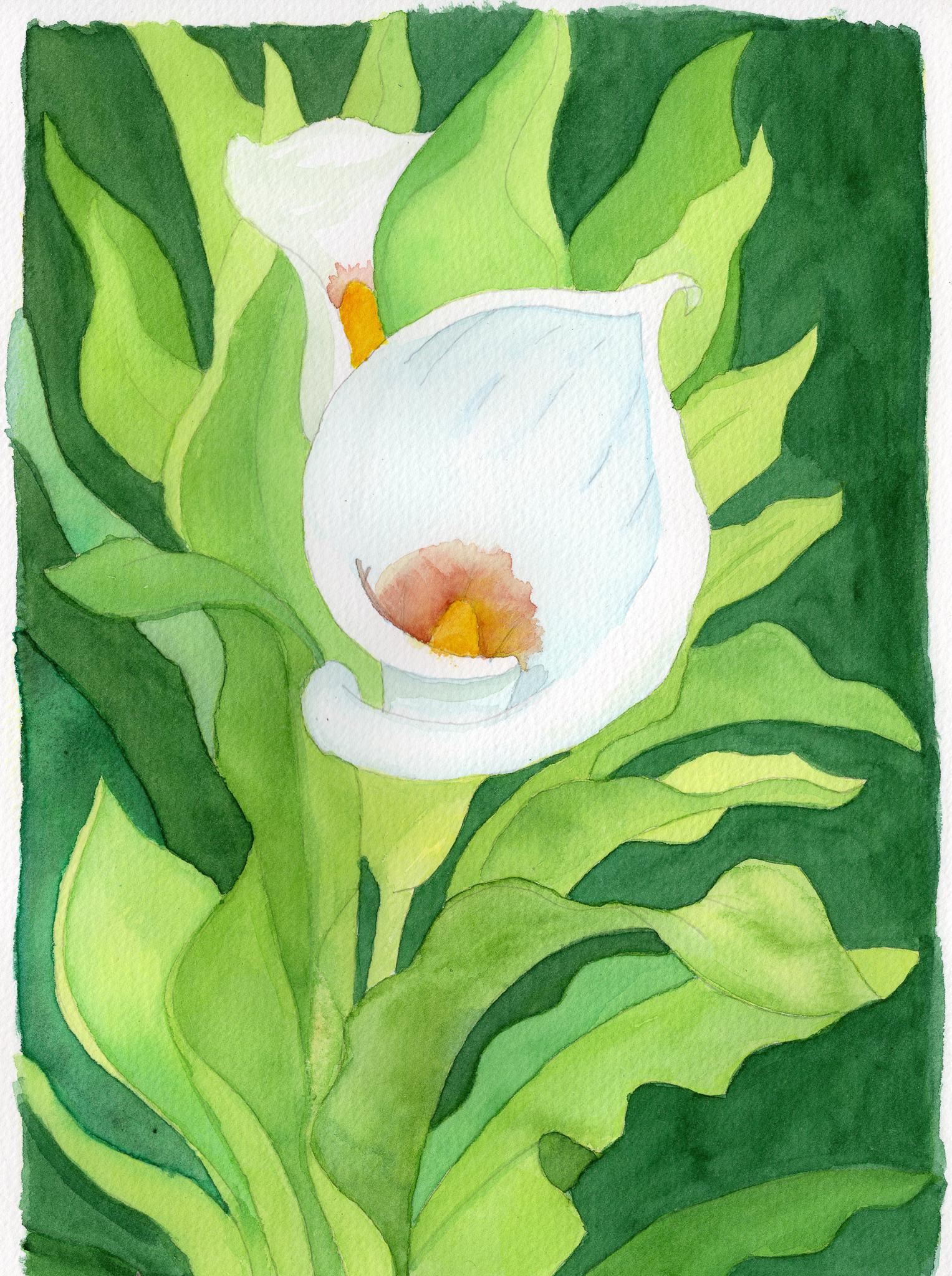 Calla Lily Study #3 - image 1 - student project