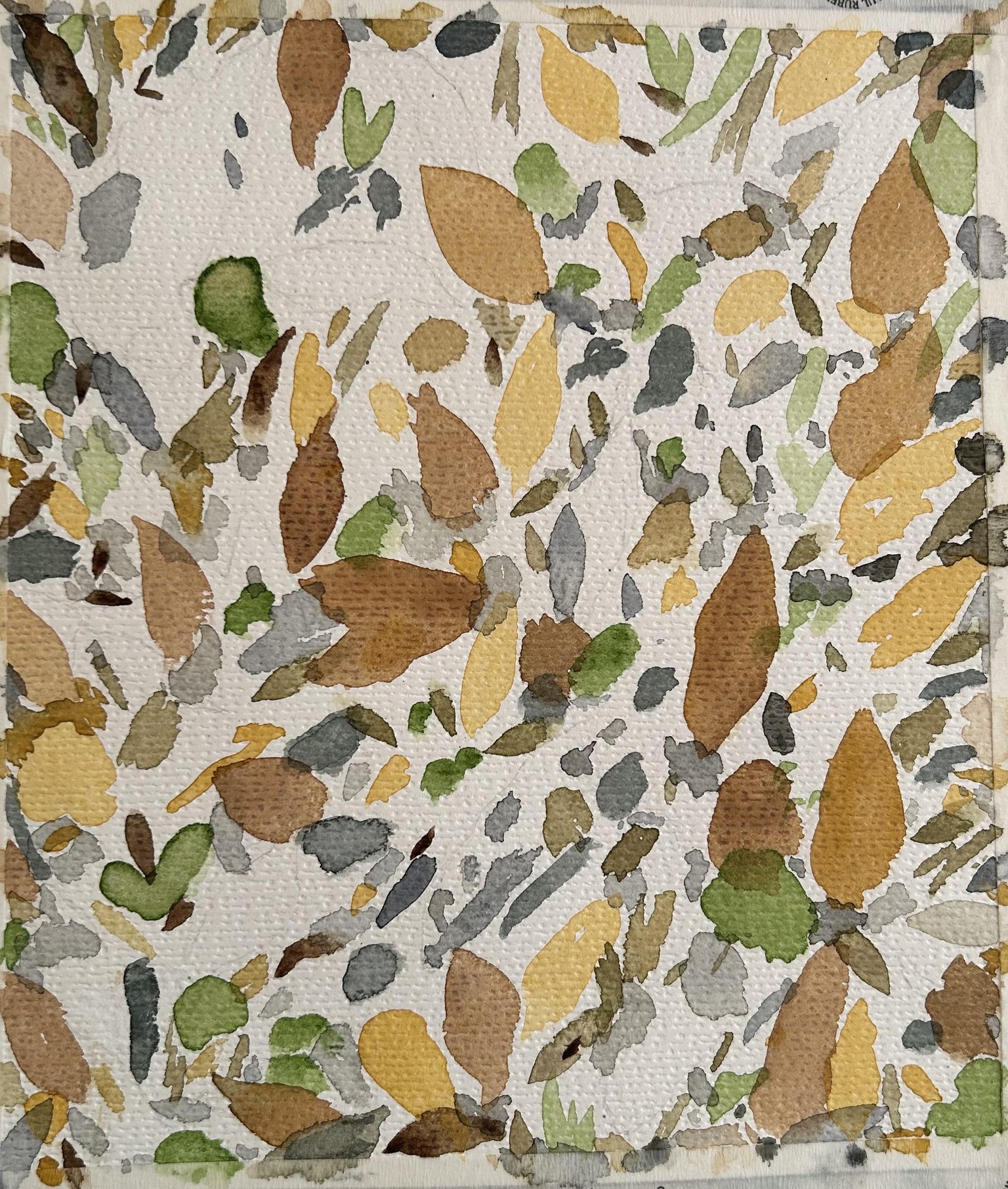Aussie Autumn - image 2 - student project