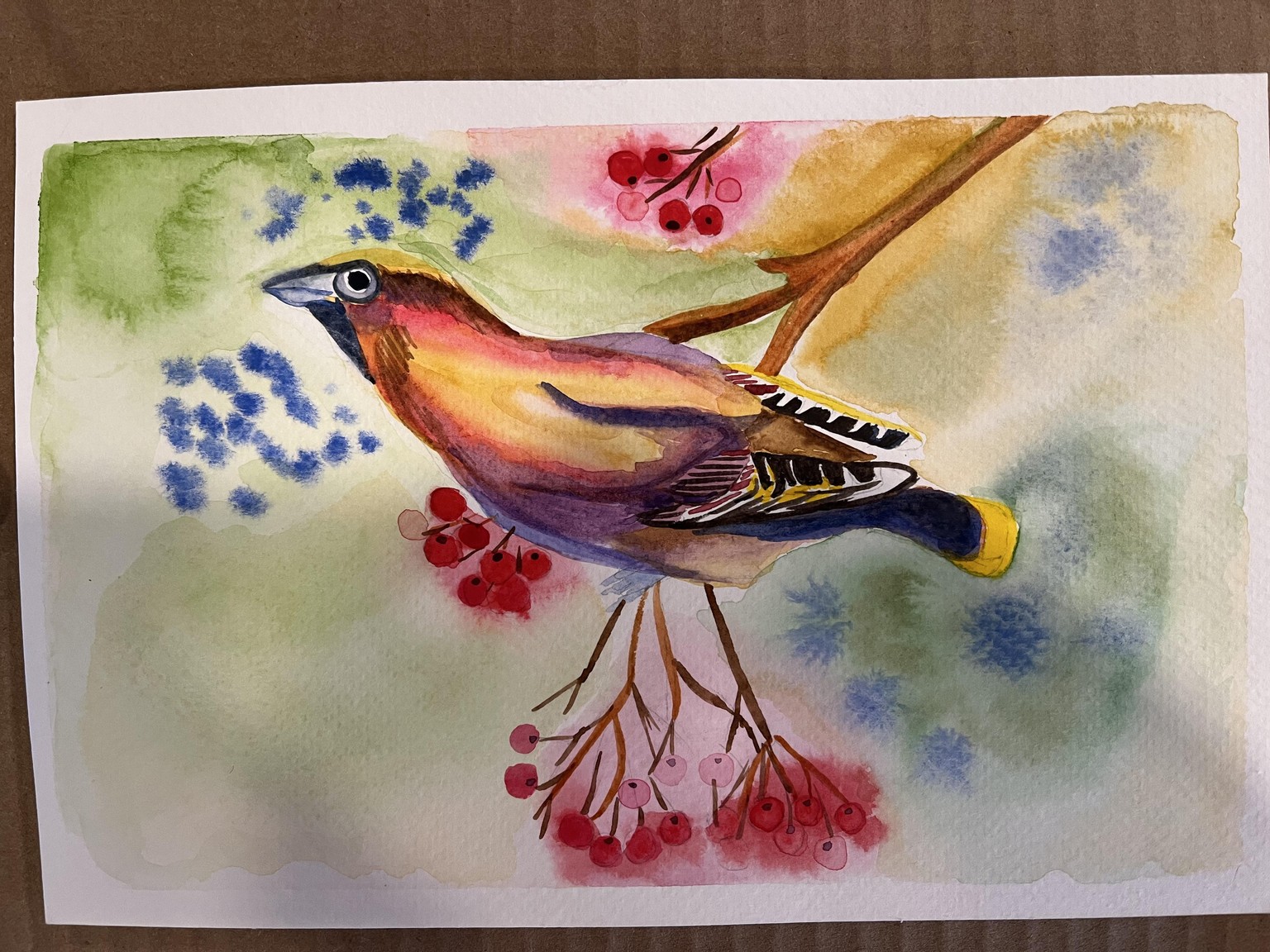 Bohemian waxwing - image 1 - student project