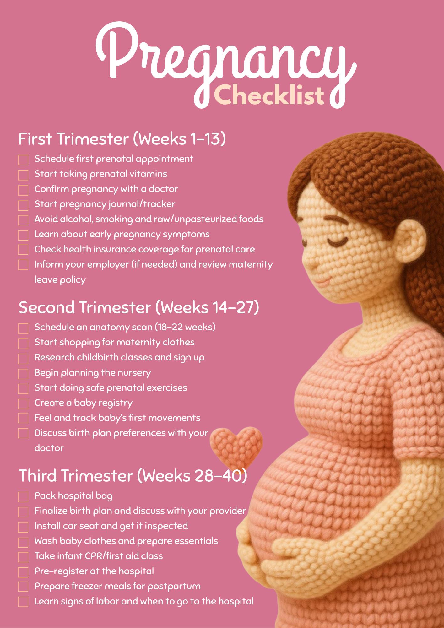 First-Time Mom Pregnancy Checklist - image 1 - student project