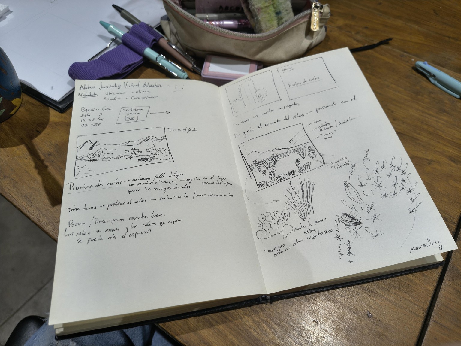 Notes on nature journaling - image 3 - student project