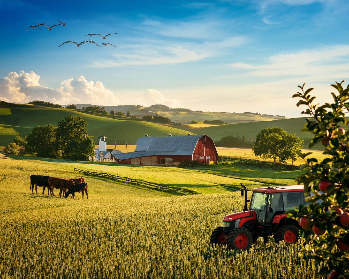 Project of Adobe Photoshop CC – Essentials Training Course - image 1 - student project