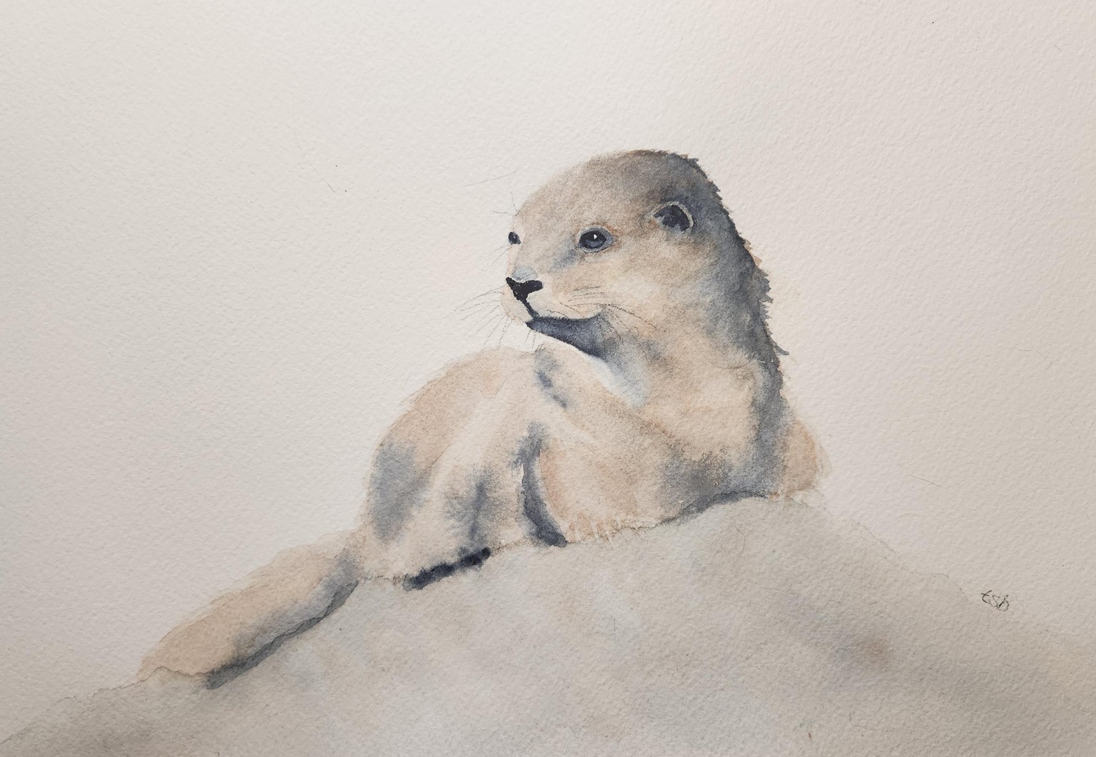 Otto the otter - image 2 - student project