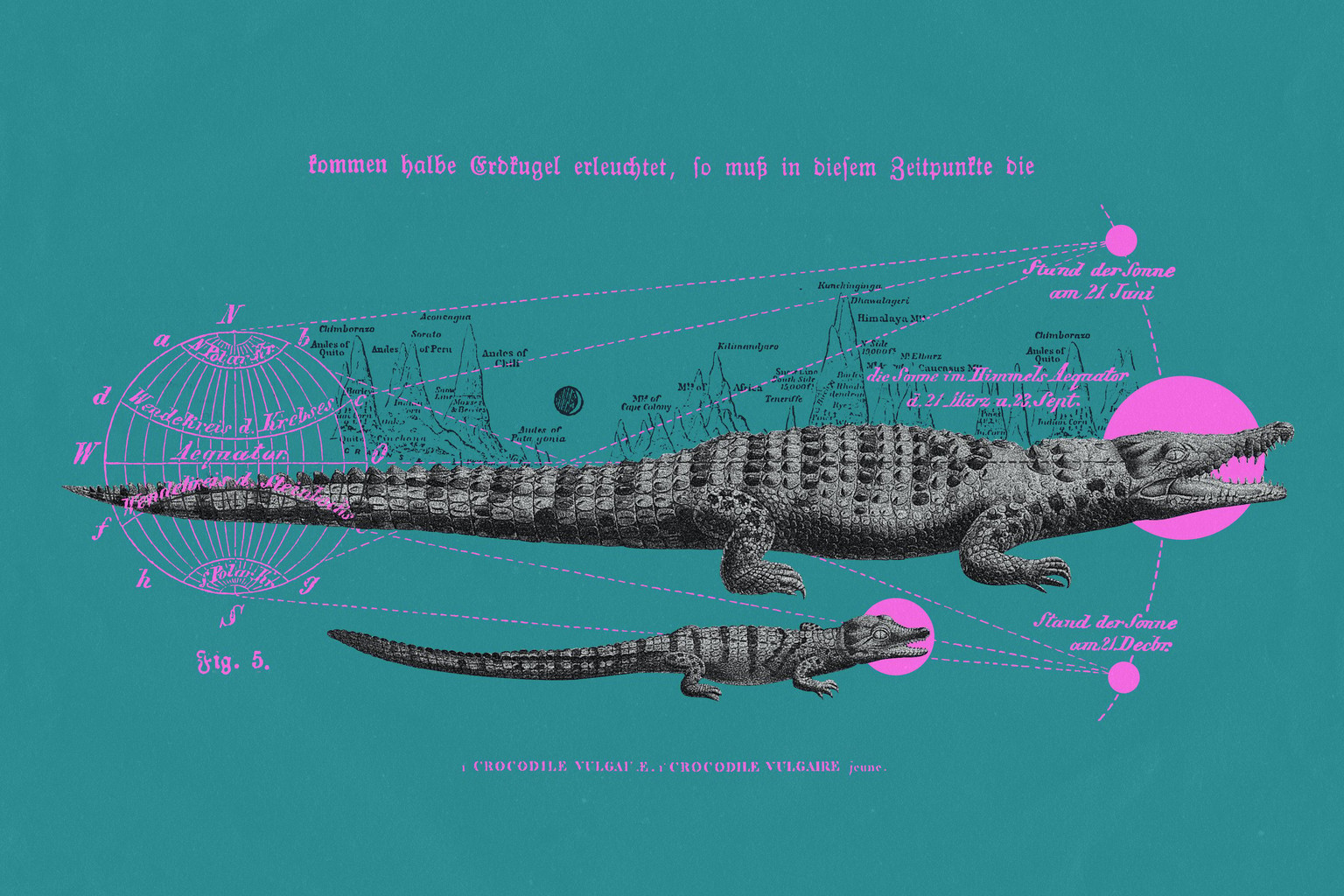 Celestial Crocodile - image 3 - student project