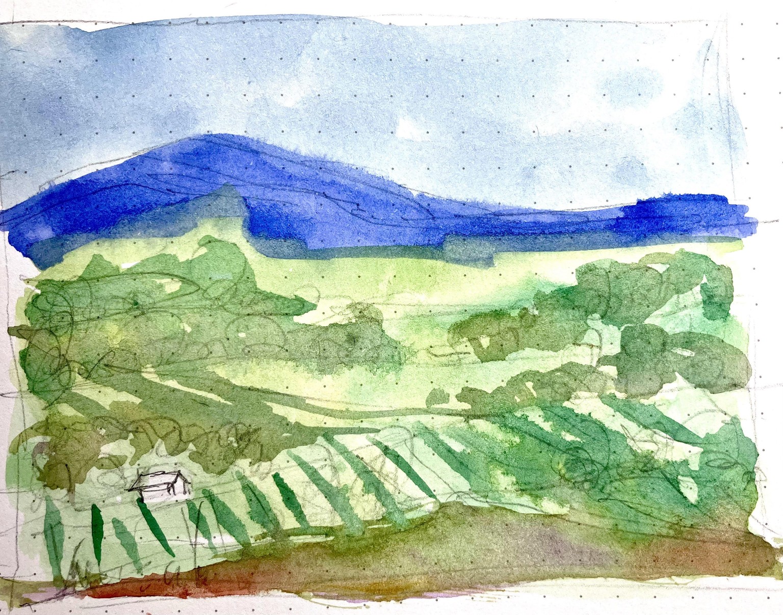Watercolor scenery:  Ink or no ink? - image 5 - student project