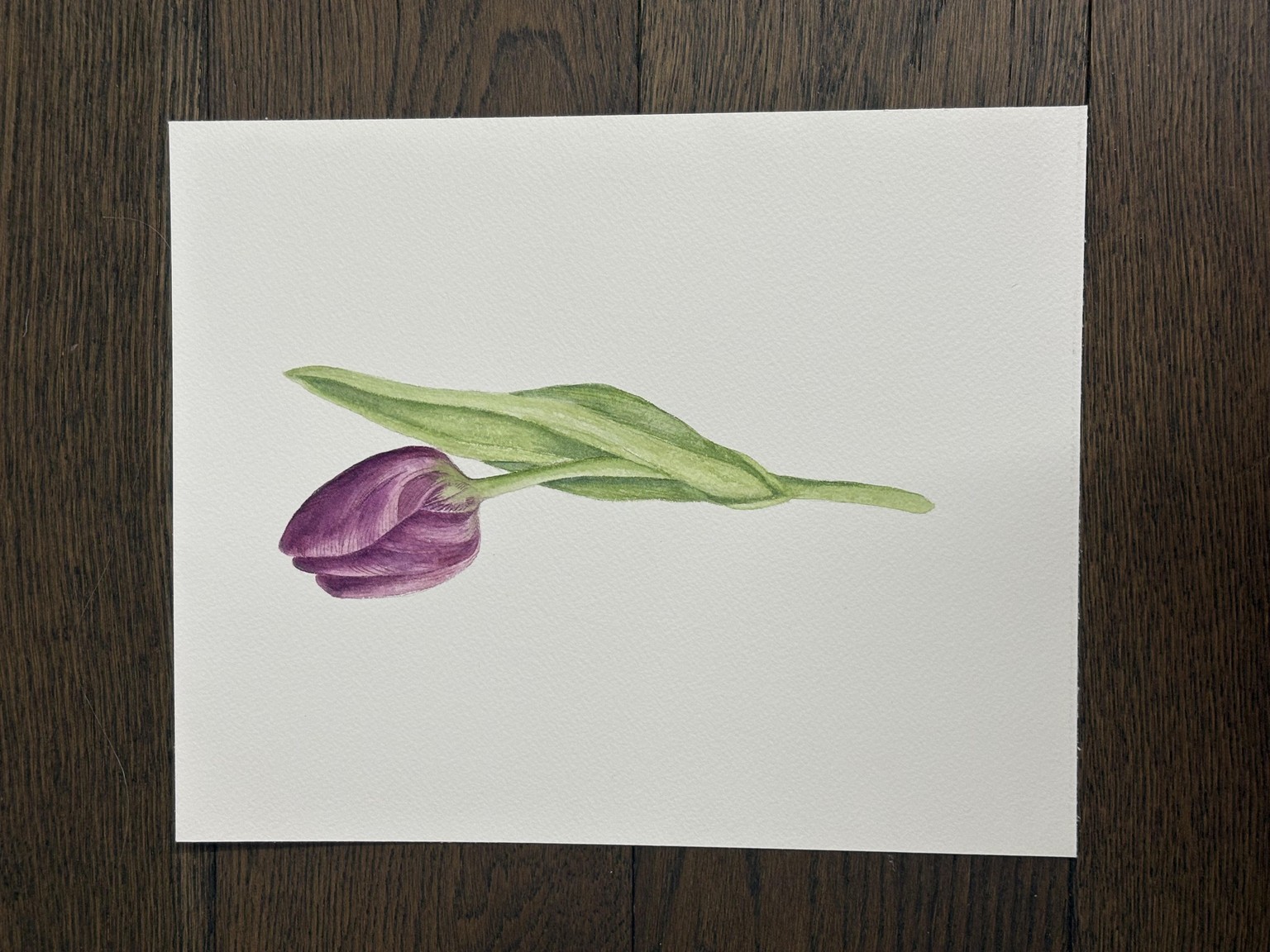 Watercolour Tulip - image 1 - student project
