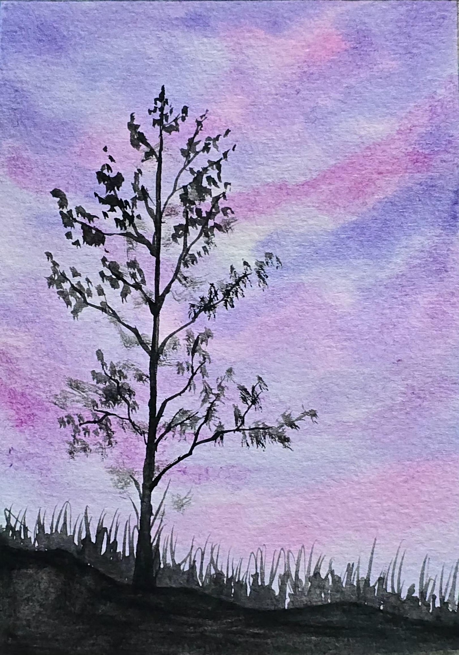 Landscapes - image 4 - student project
