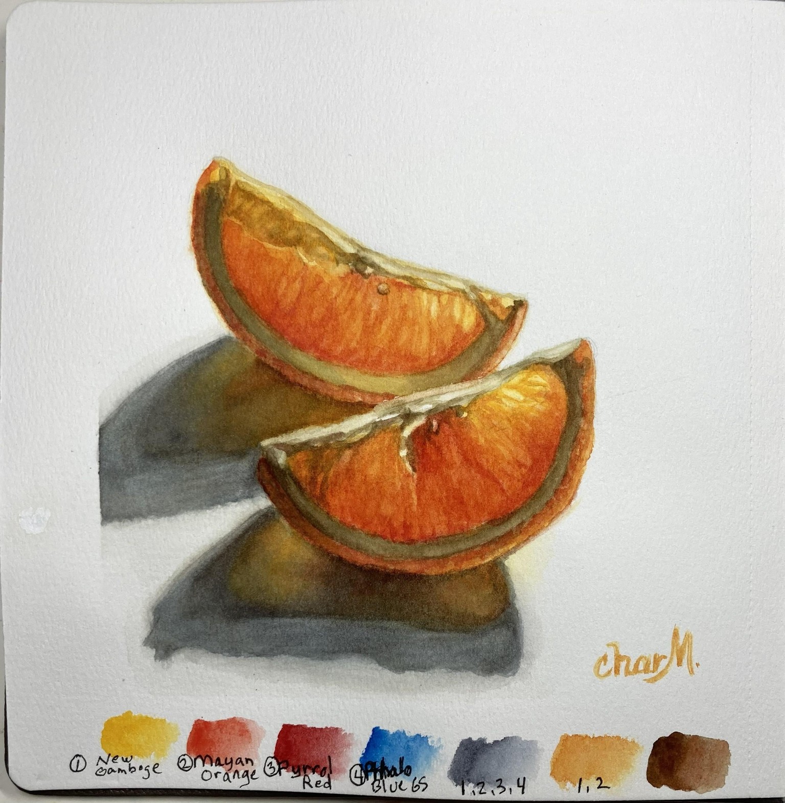 Citrus Transparency - image 1 - student project