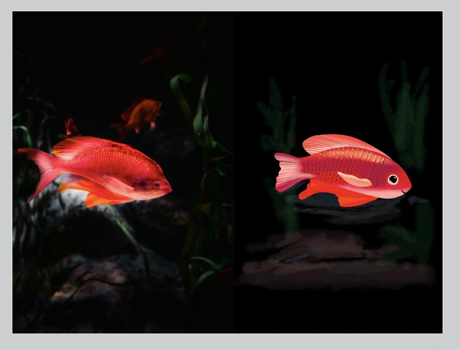 My red fish - image 1 - student project