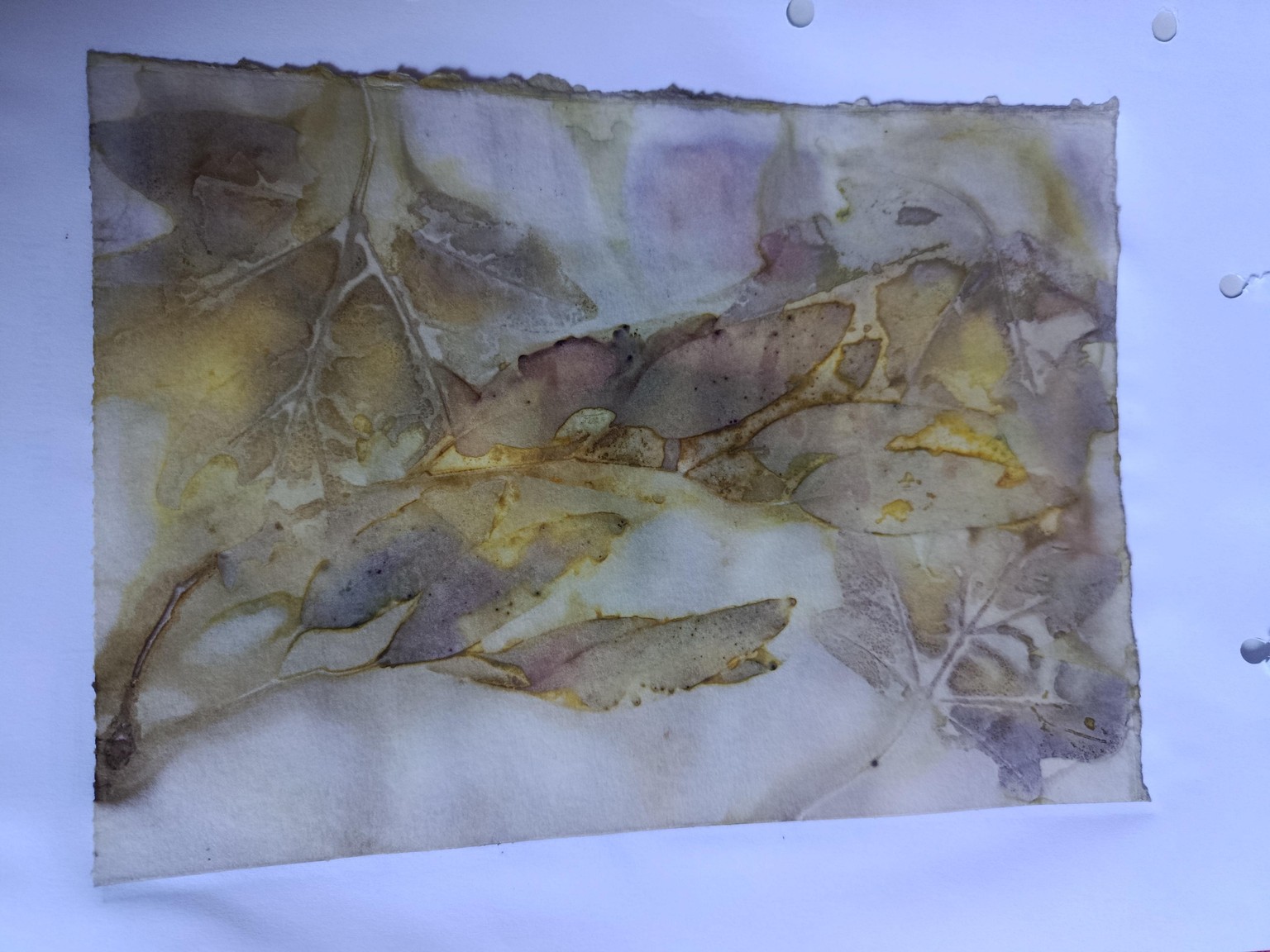 Eco-dyeing on paper - image 4 - student project