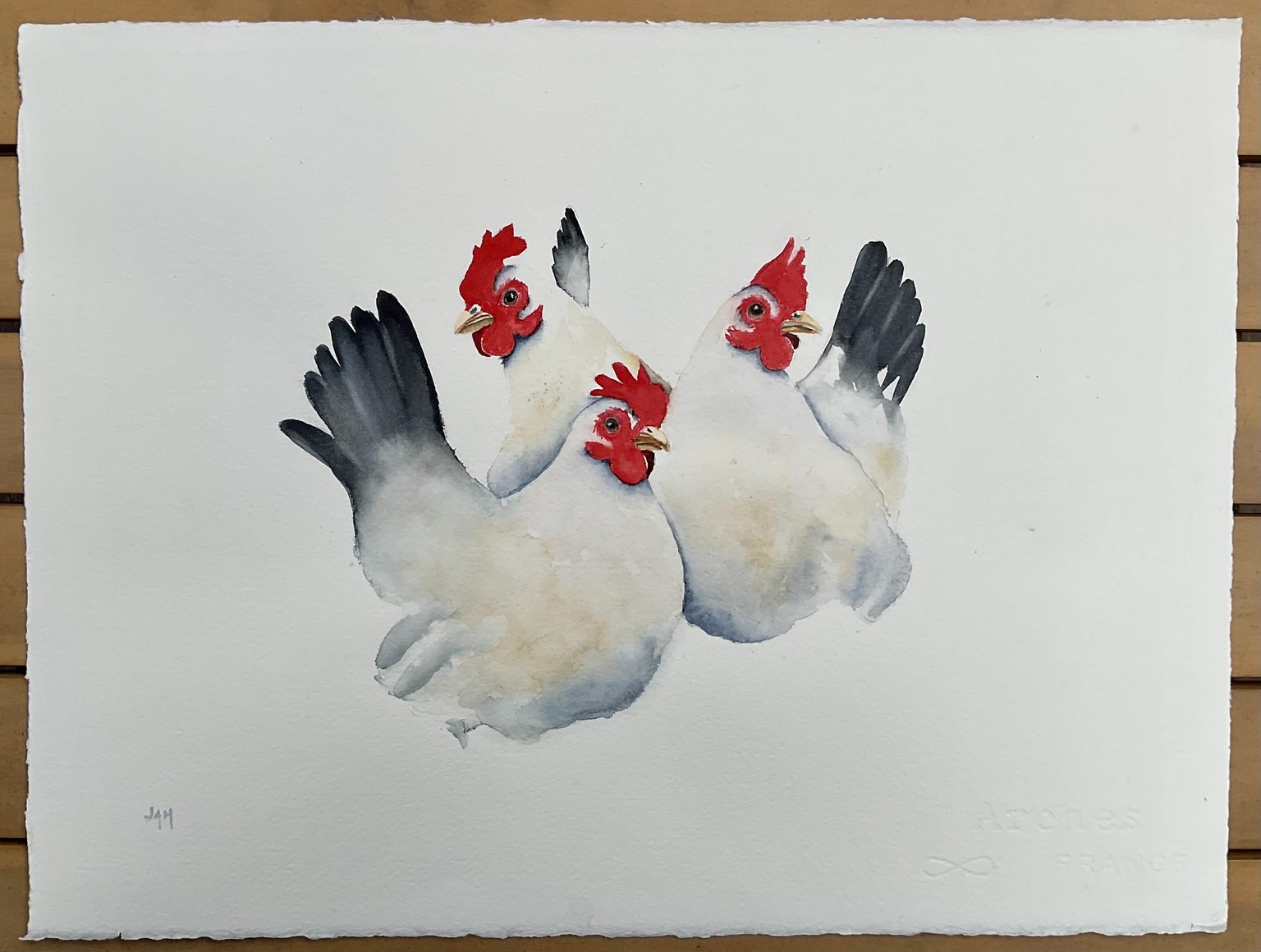 Three Chooks - image 1 - student project