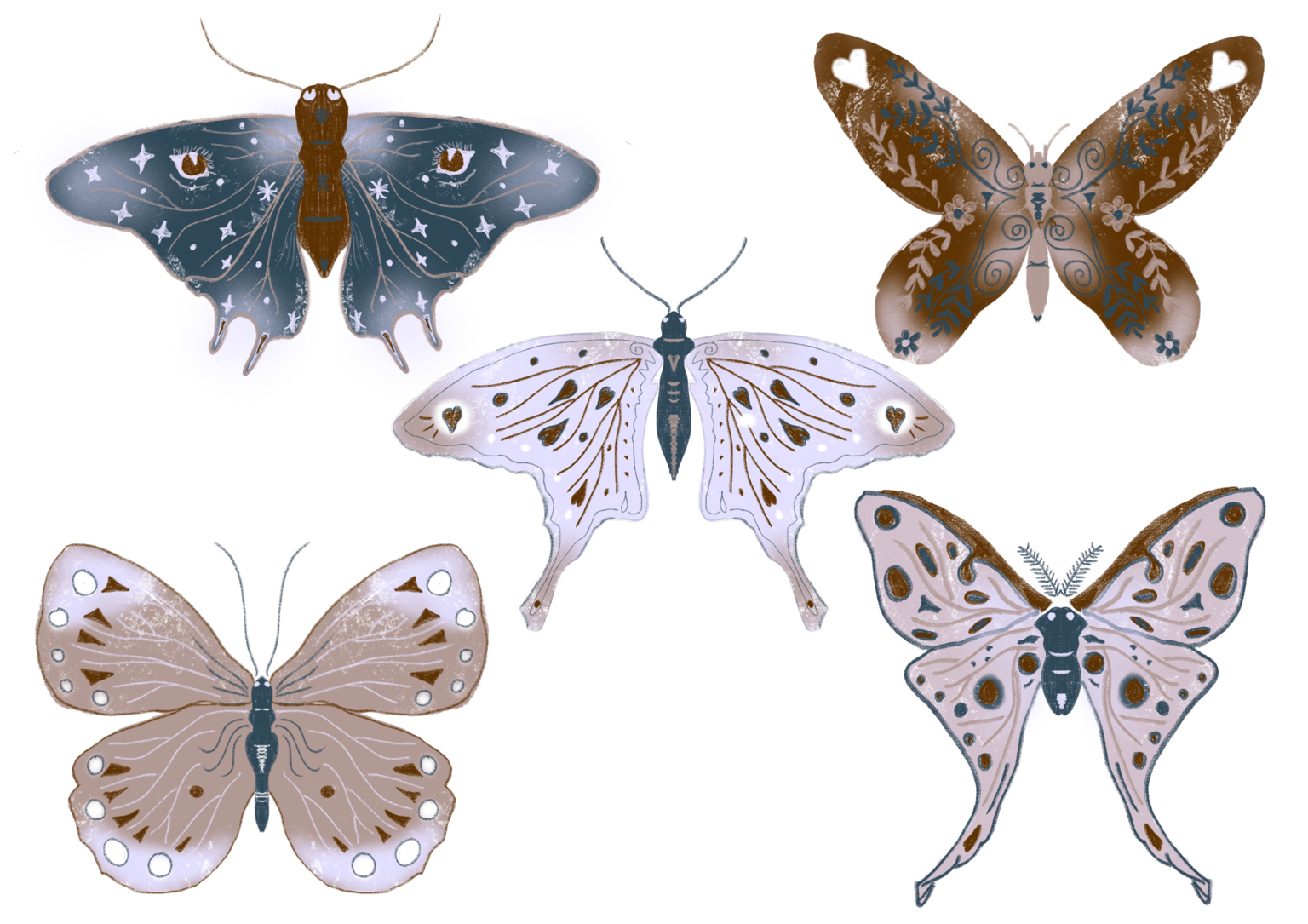 Butterfly canva - image 1 - student project