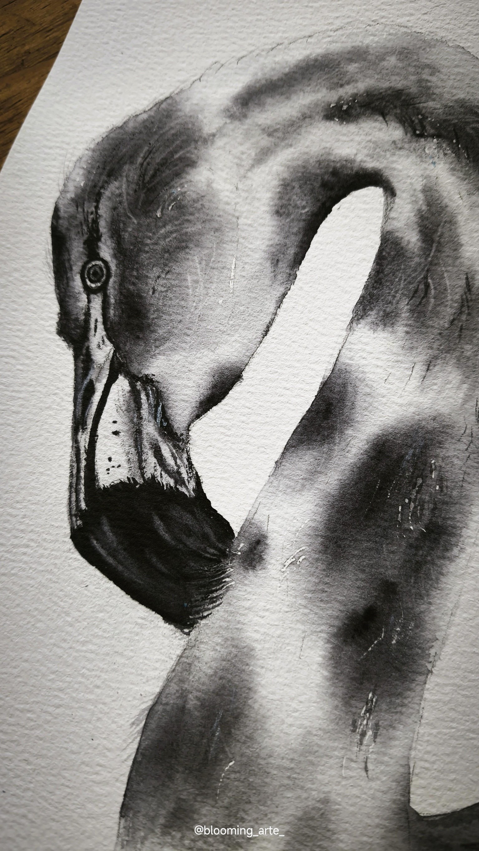 Monochrome Watercolor Birds - image 8 - student project