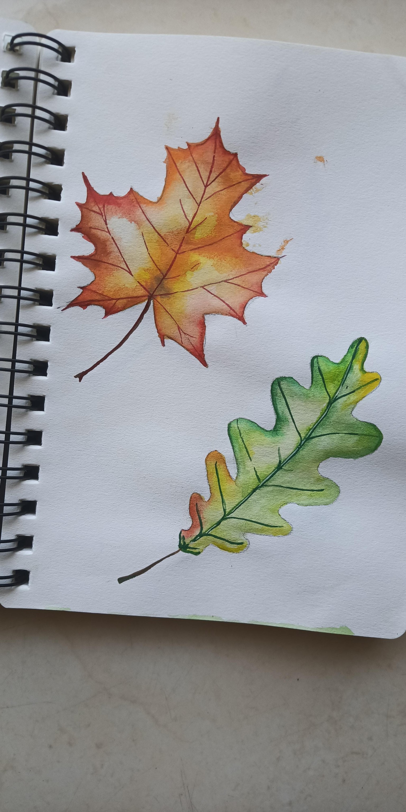 Leaf project - image 2 - student project