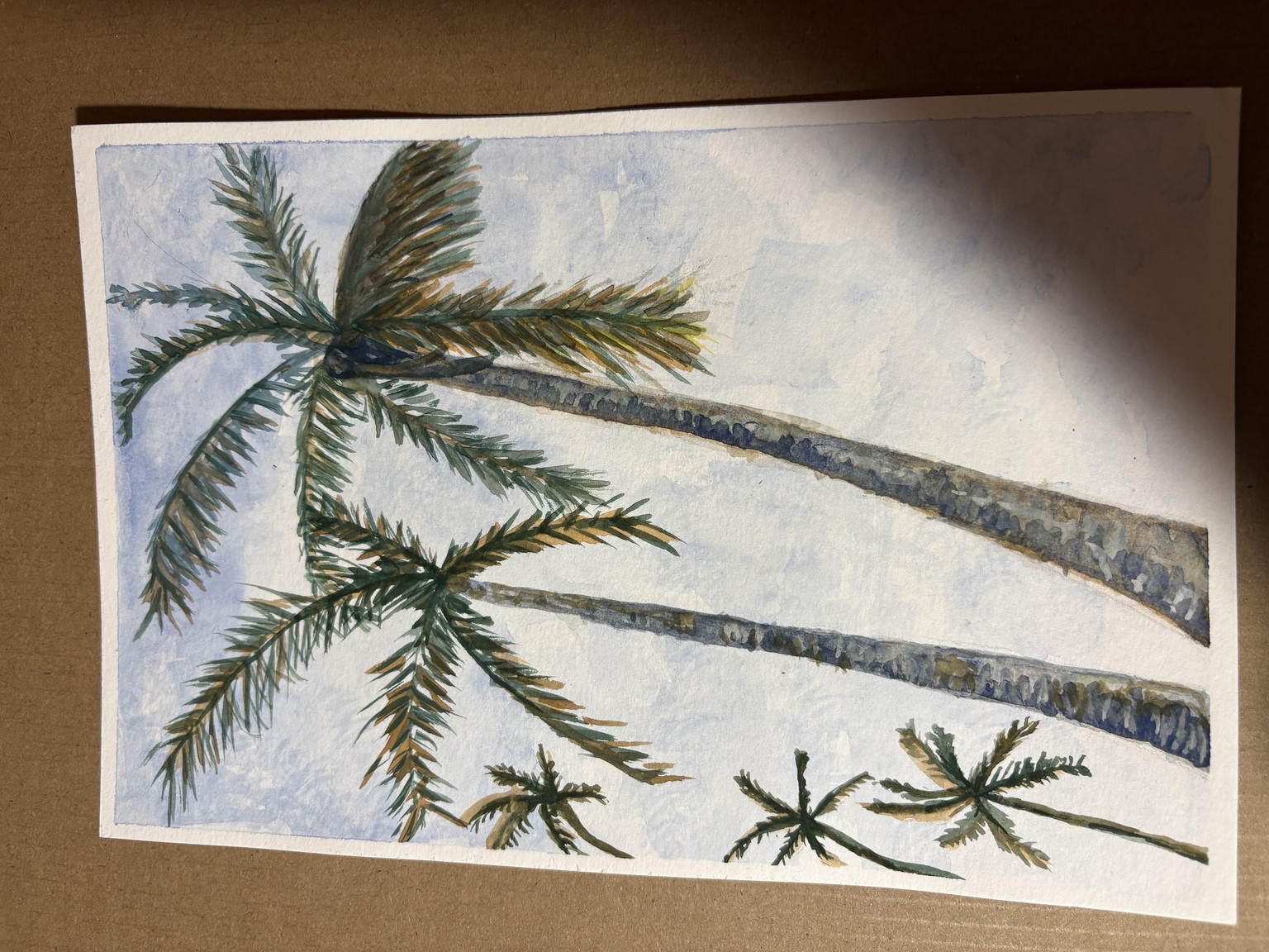Palm Trees in Chokoloskee - image 2 - student project