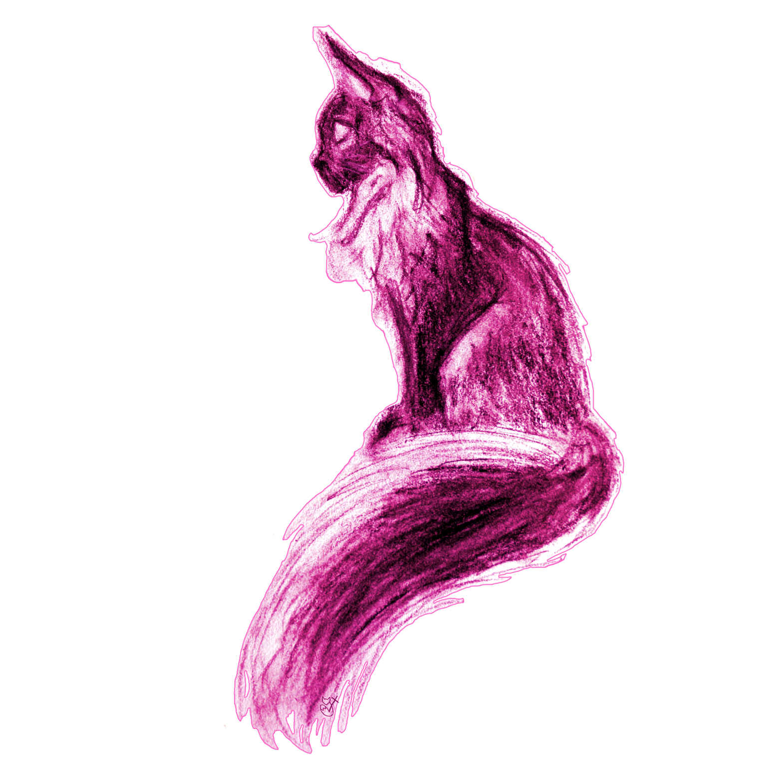 Digitizing art: charcoal cat - image 4 - student project