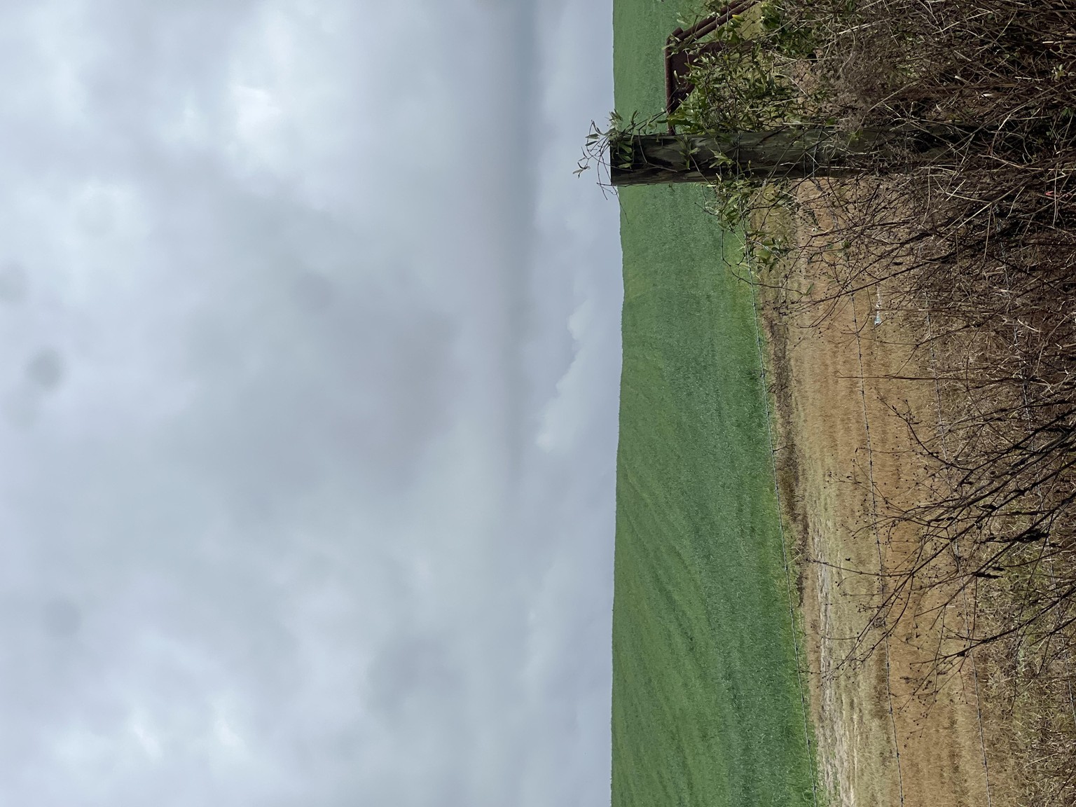 Farming - image 1 - student project