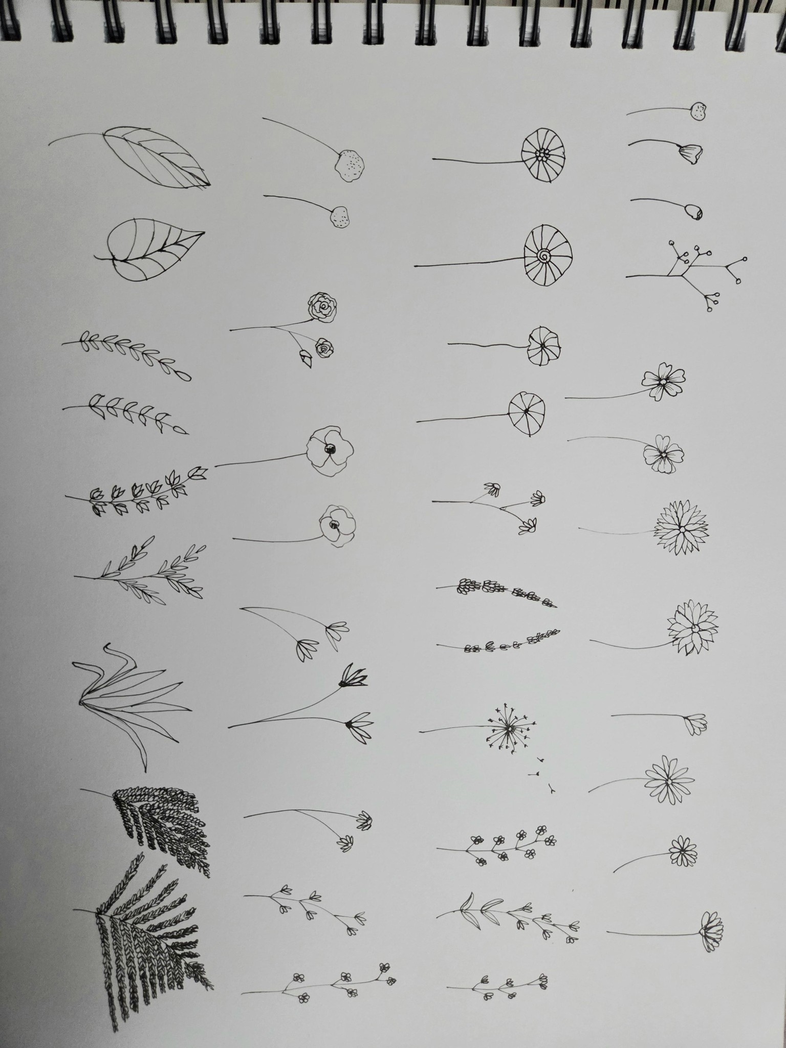 Simple flowers and leaves. Very calming to follow along. - image 1 - student project