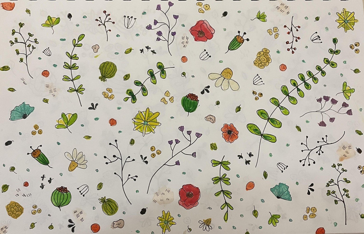Floral Explosion - image 1 - student project