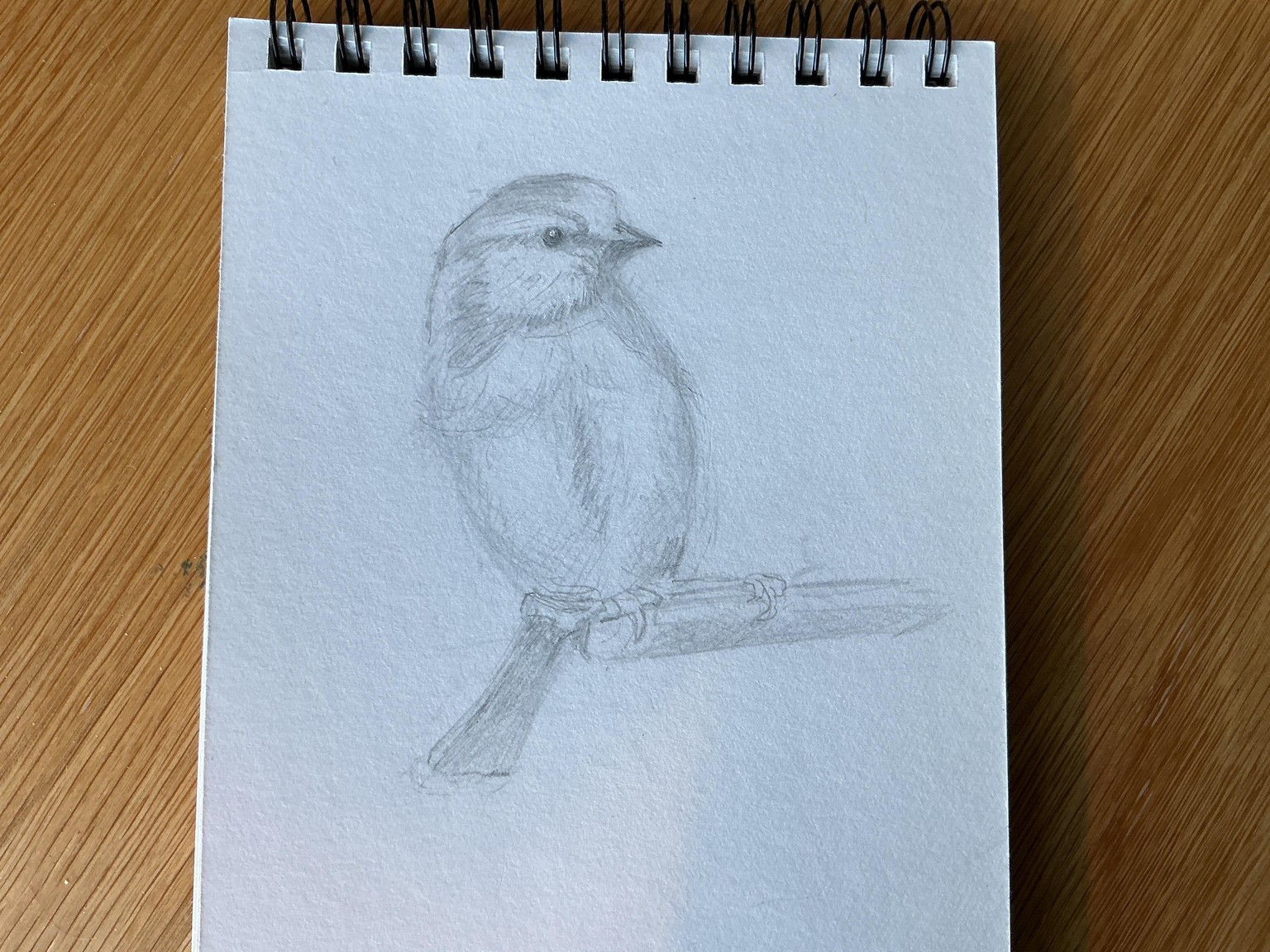 Sketching Animal potraits. - image 3 - student project