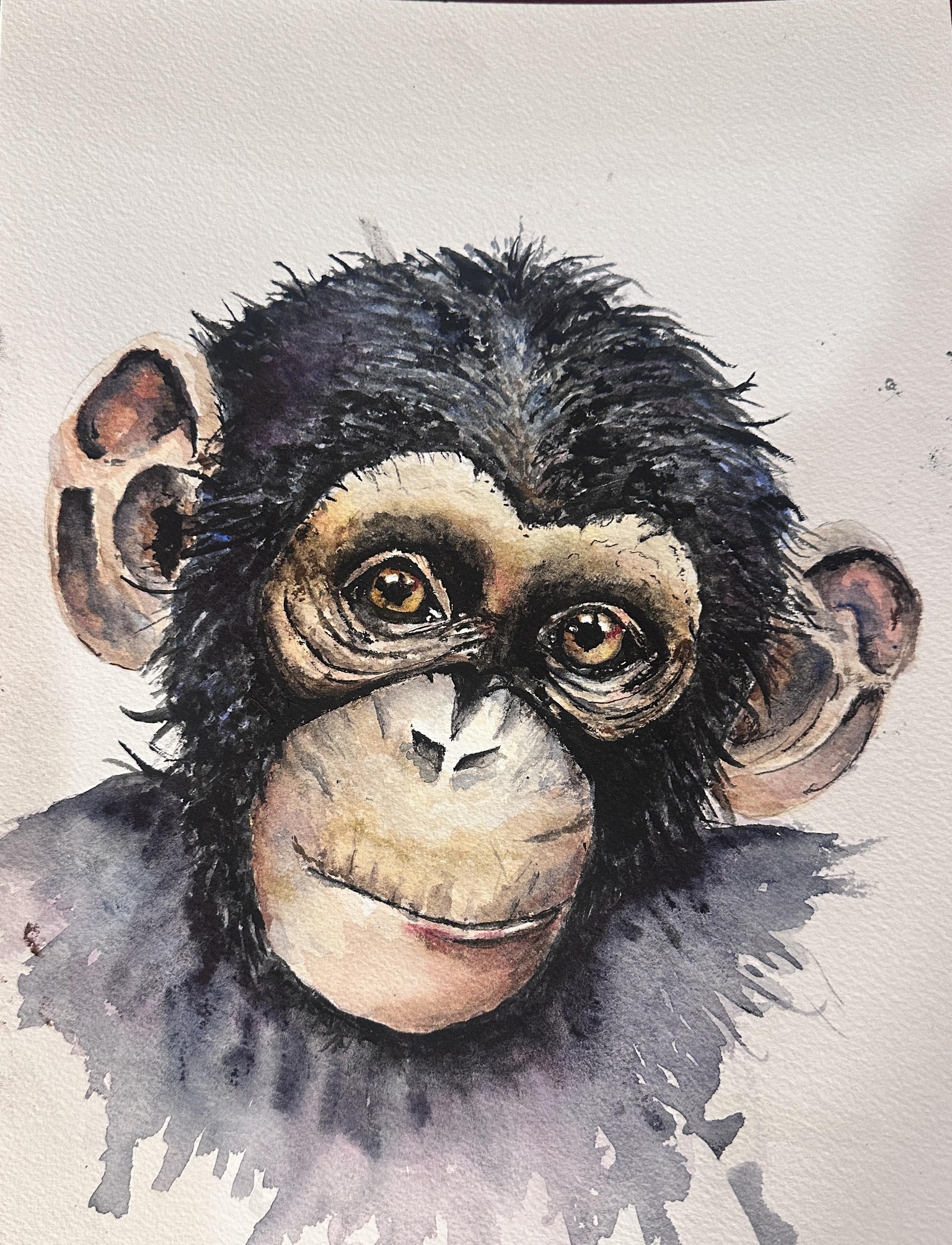 My furry friend - image 1 - student project