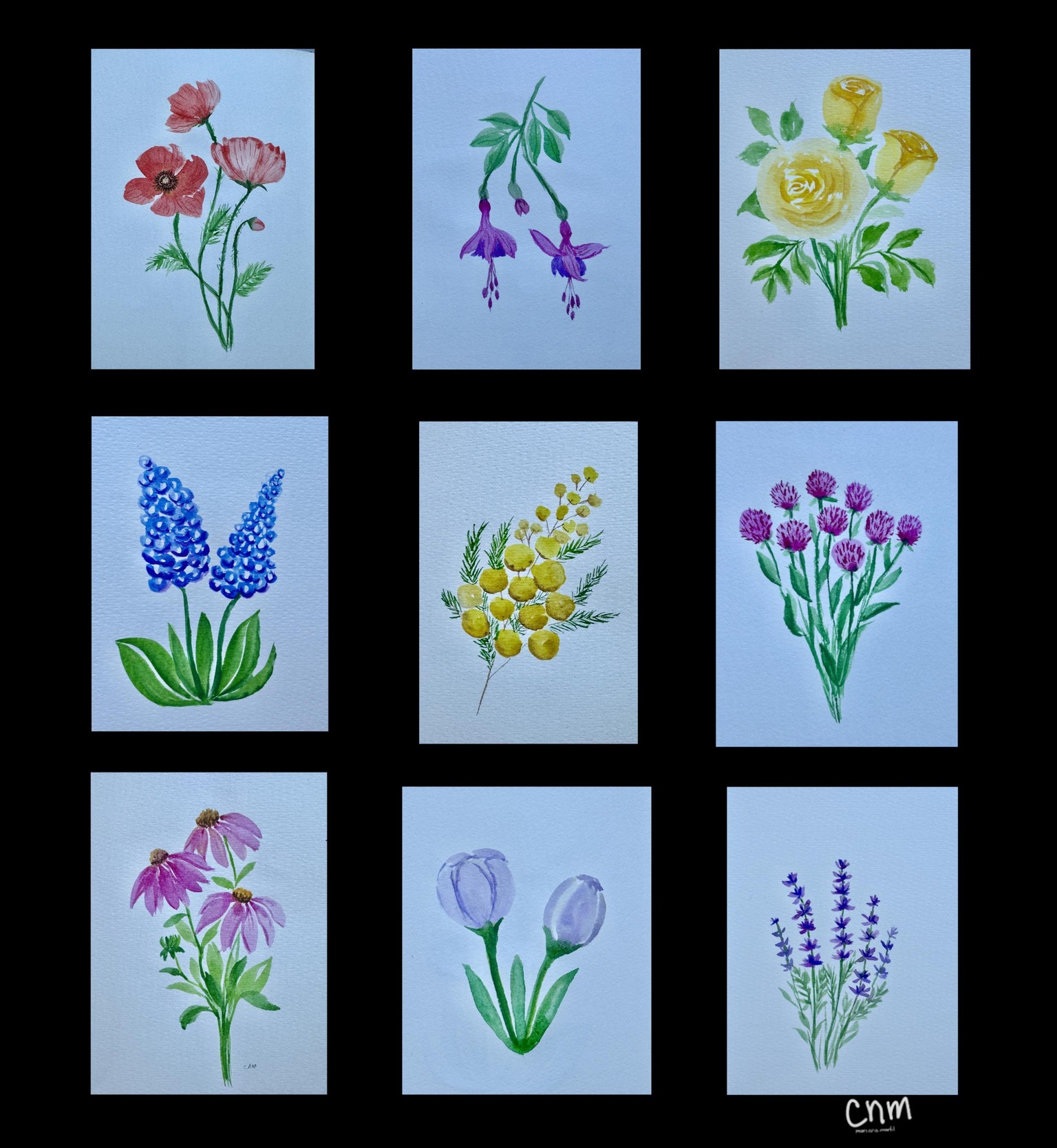 Floral Practice - image 1 - student project
