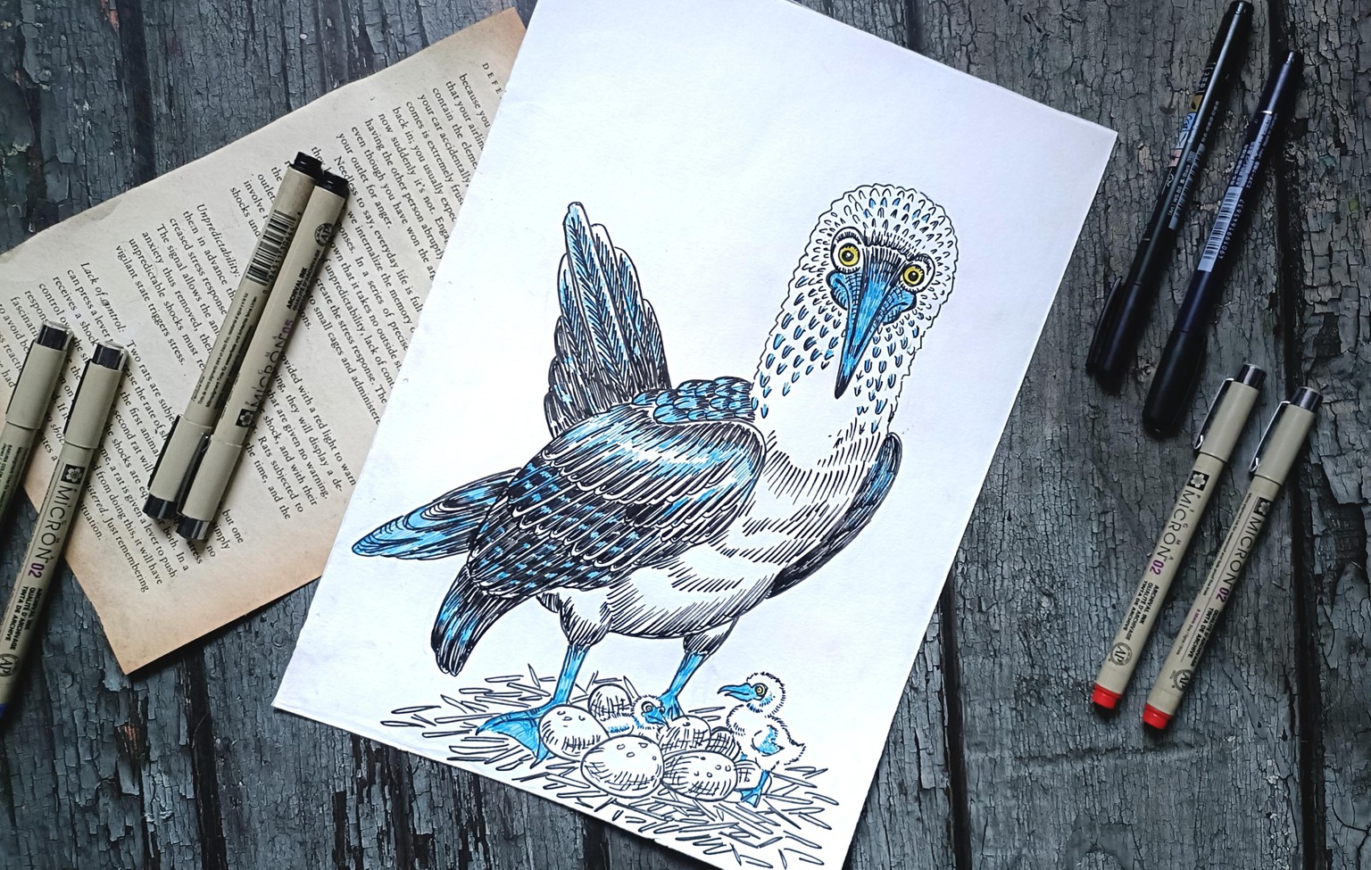 Blue Footed Bird - image 5 - student project