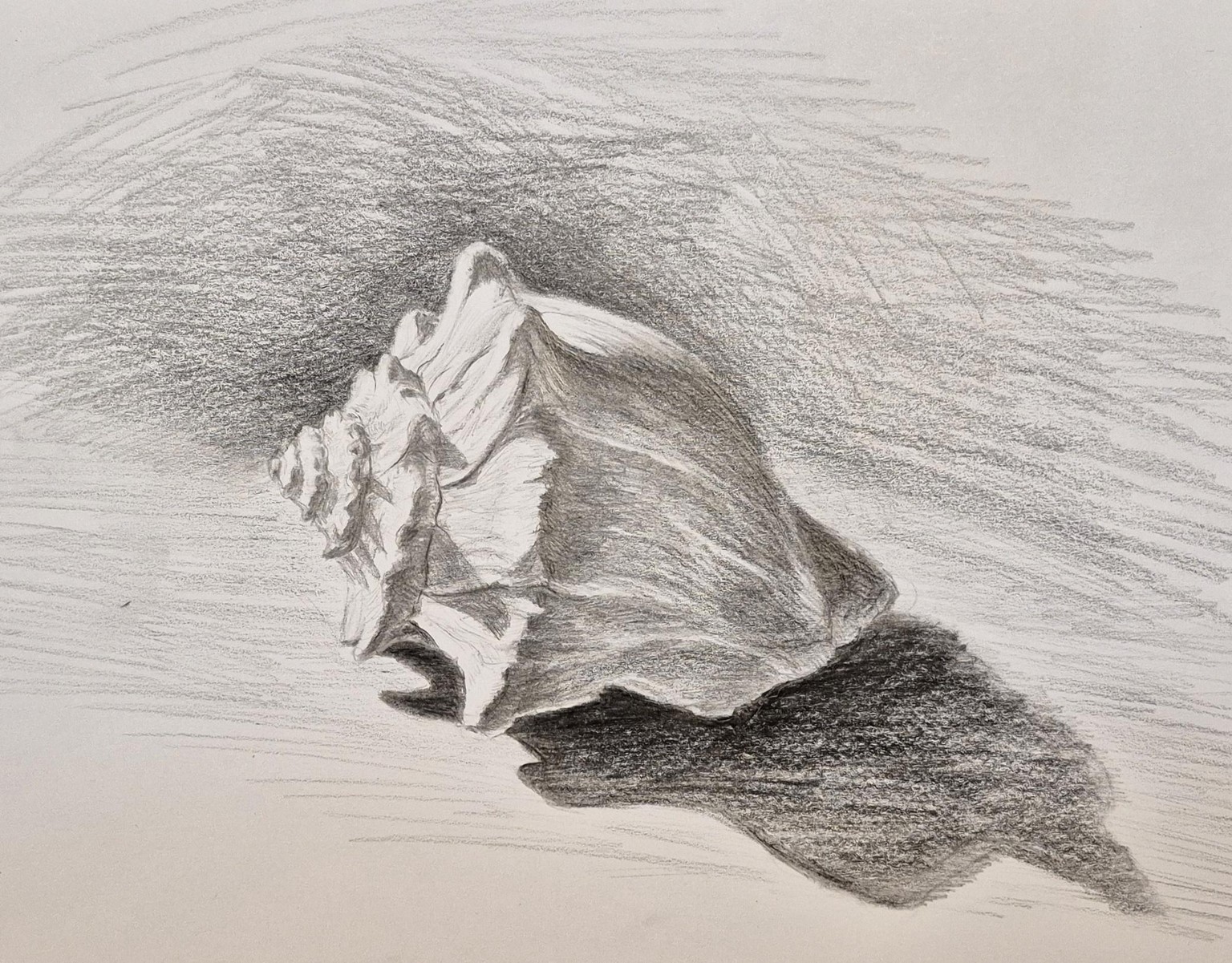 Shading: Part 4 of The Drawing Laboratory - image 2 - student project