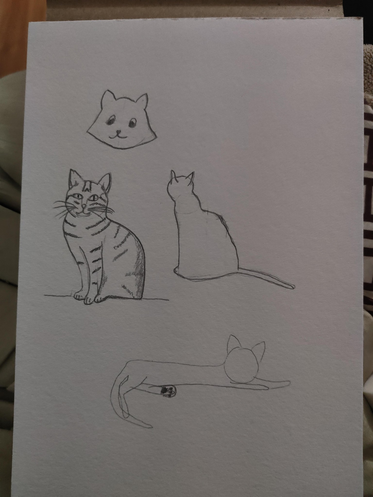 Quick sketches - image 1 - student project